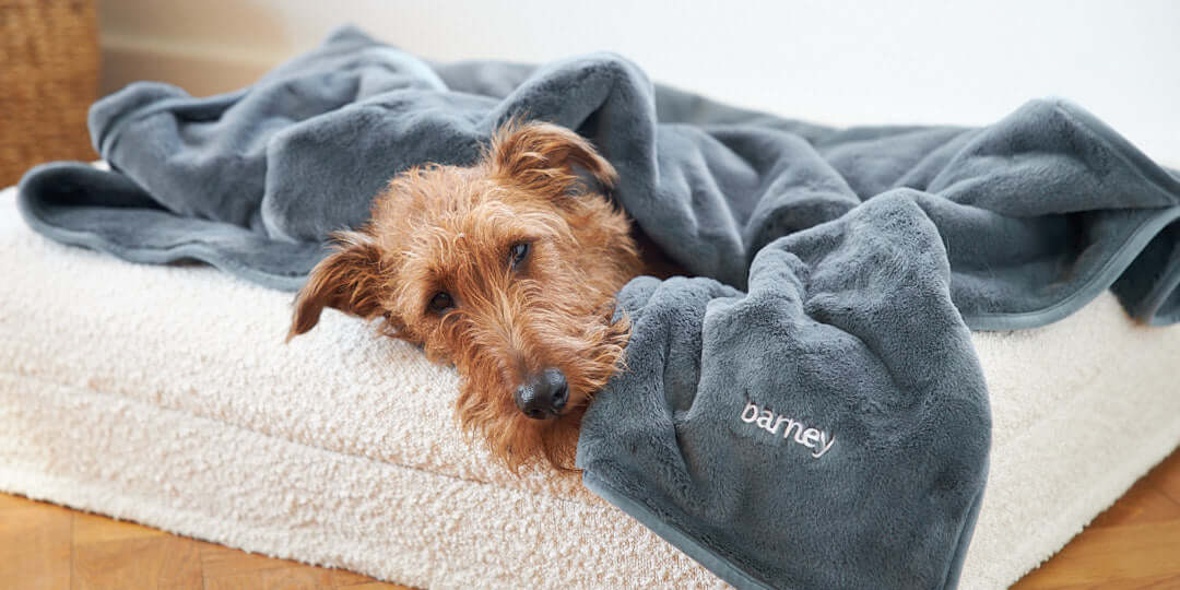 Blankets