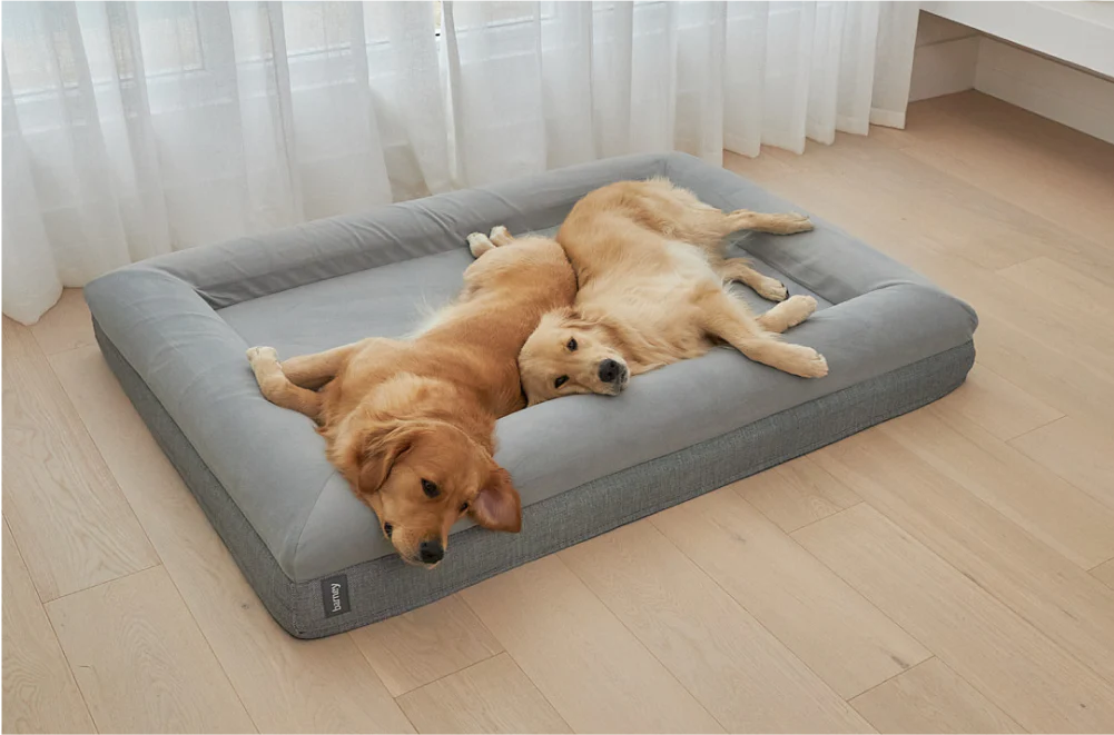 Dog Beds