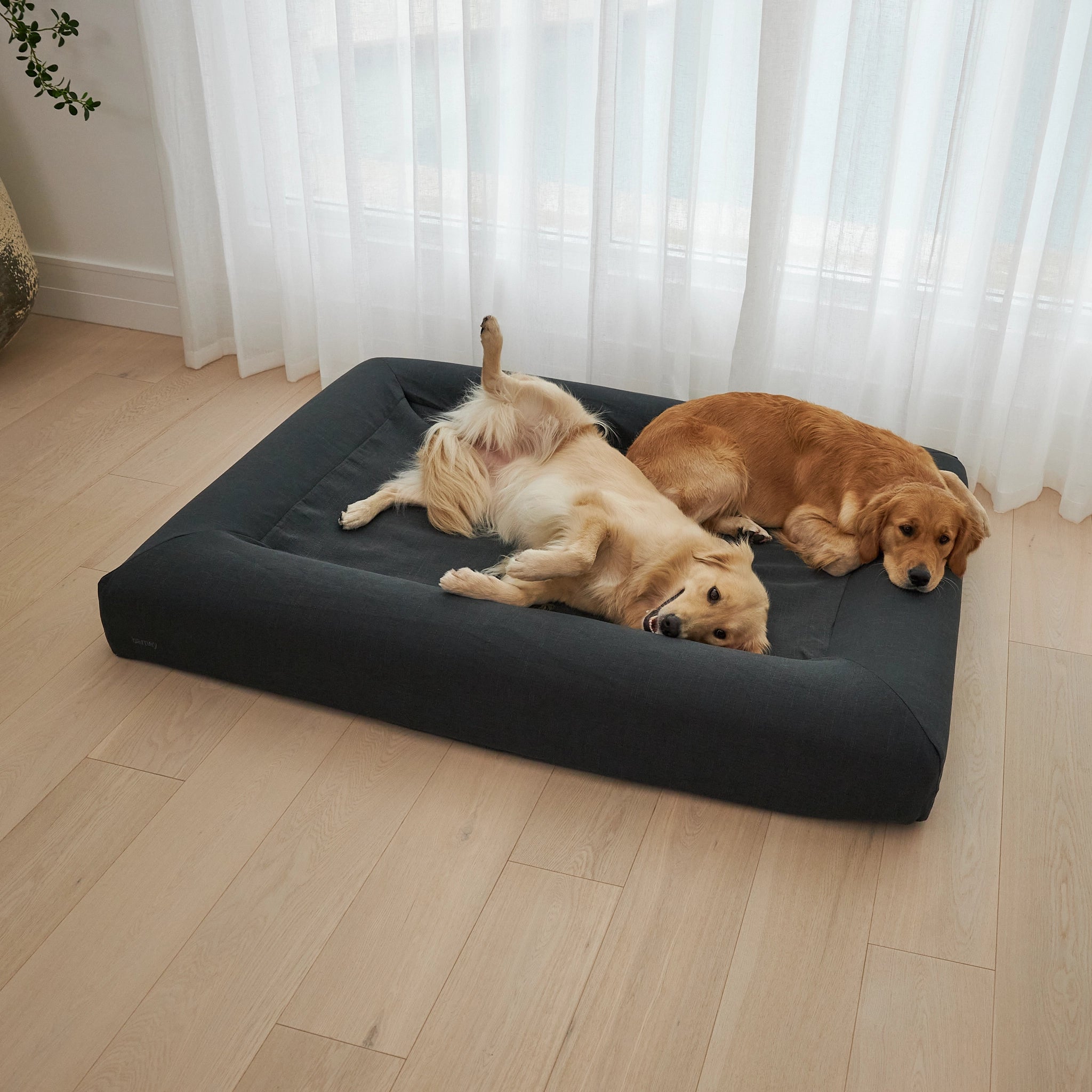 dogbeds
