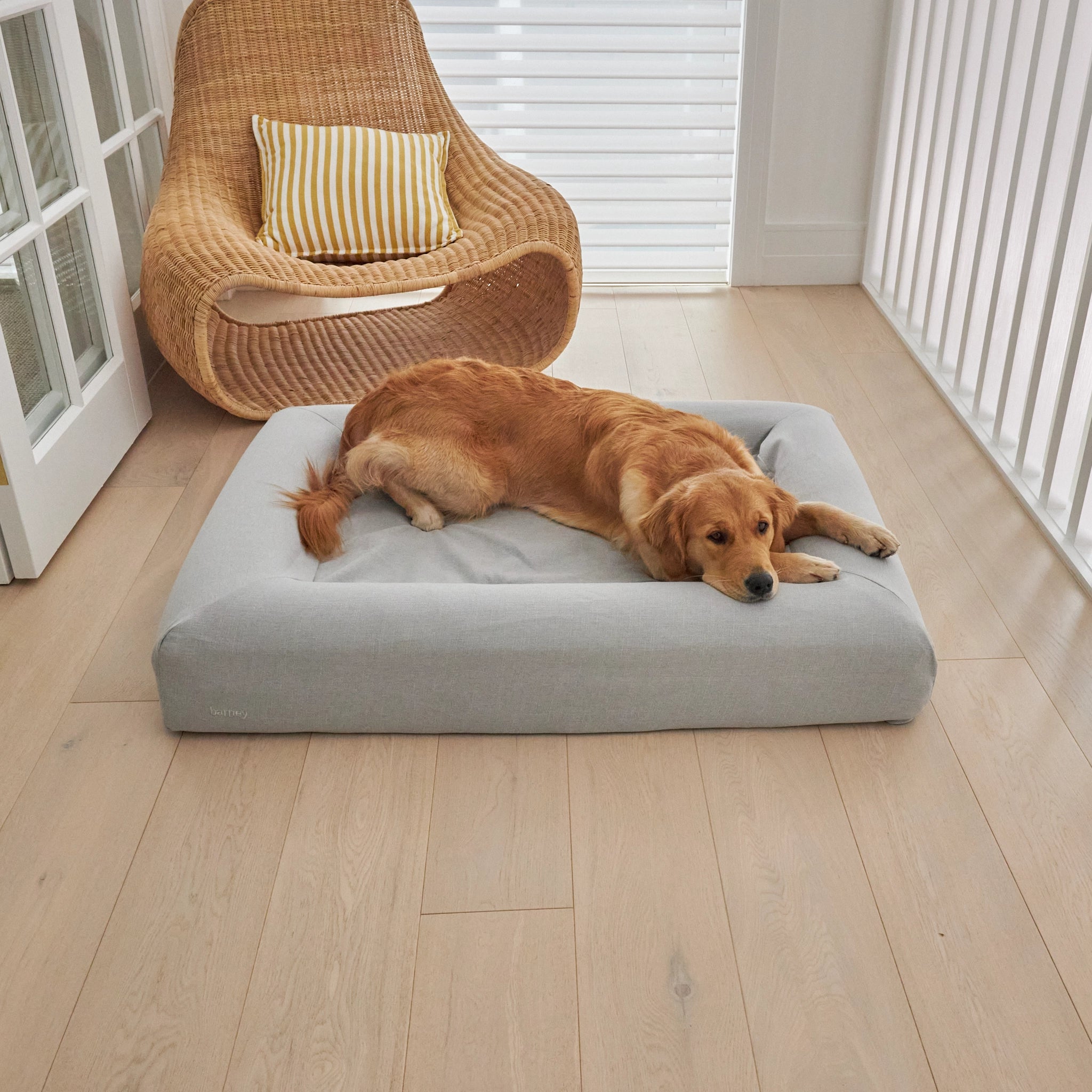 dogbeds