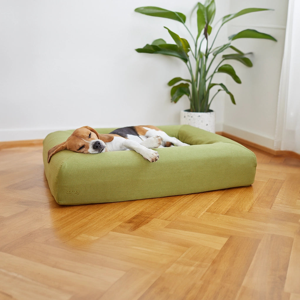 dogbeds