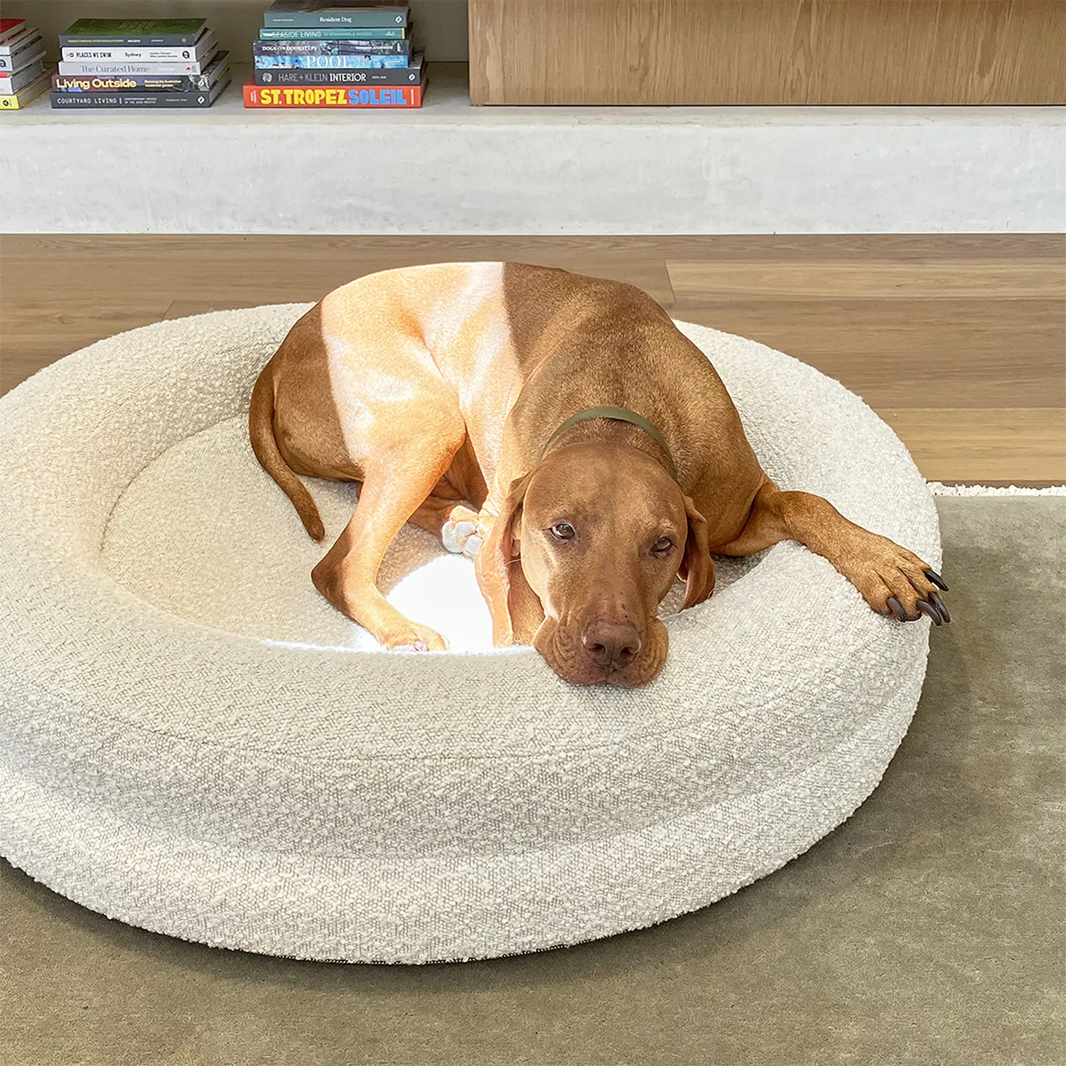 What Is the Brindle Dog Bed?