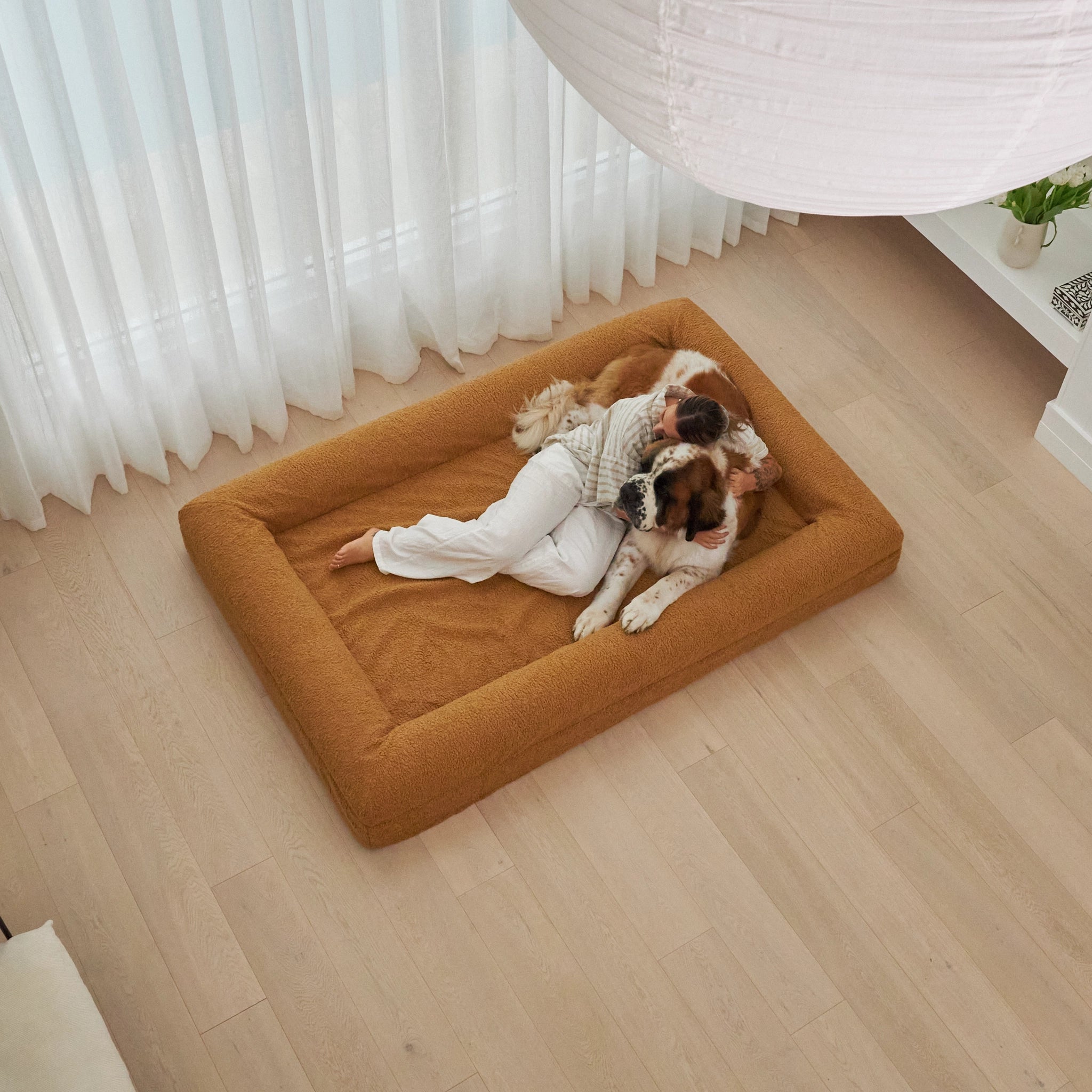 dogbeds