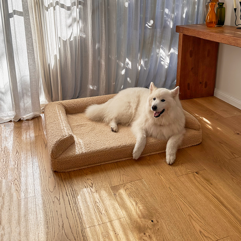dogbeds