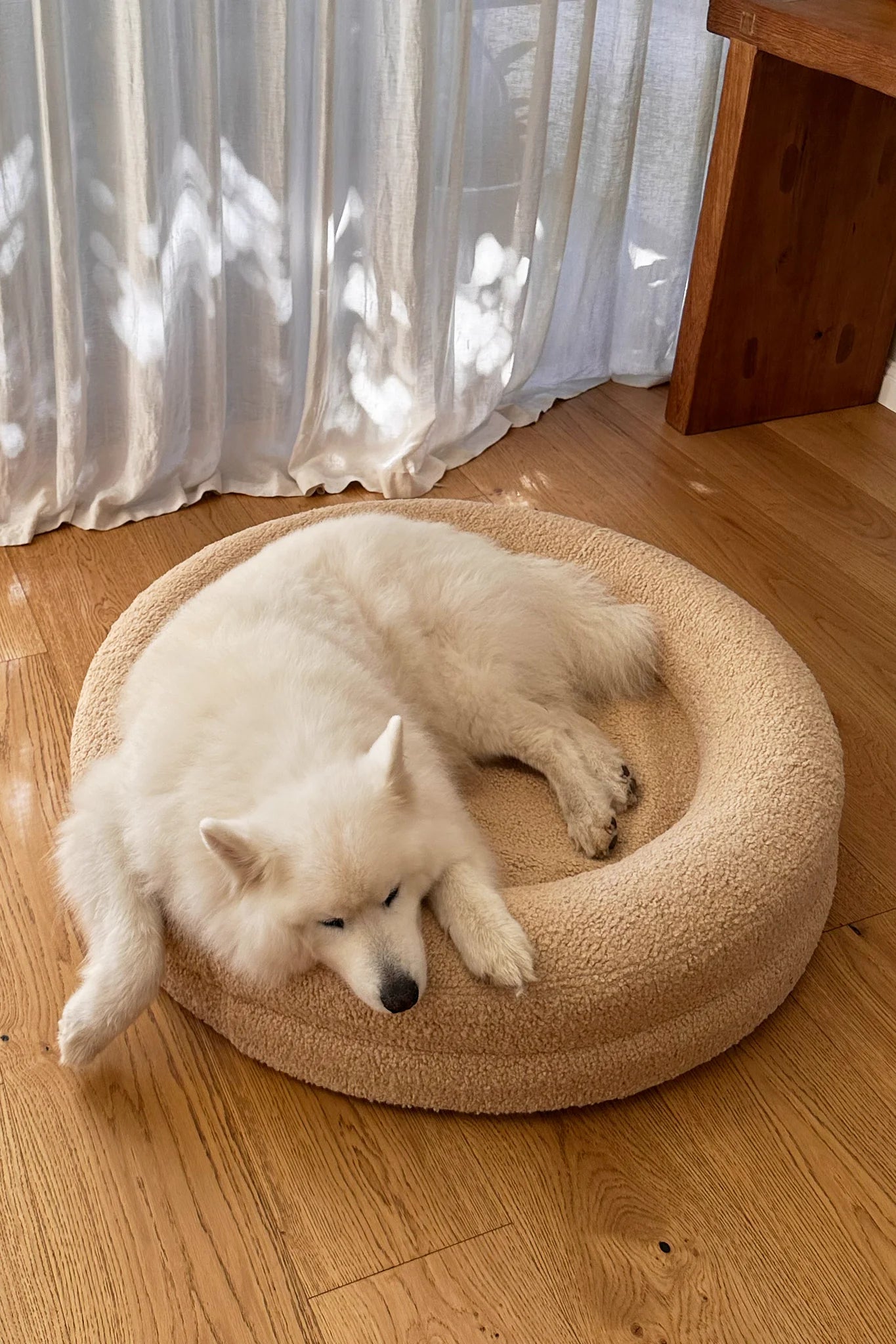 BarneyCurl