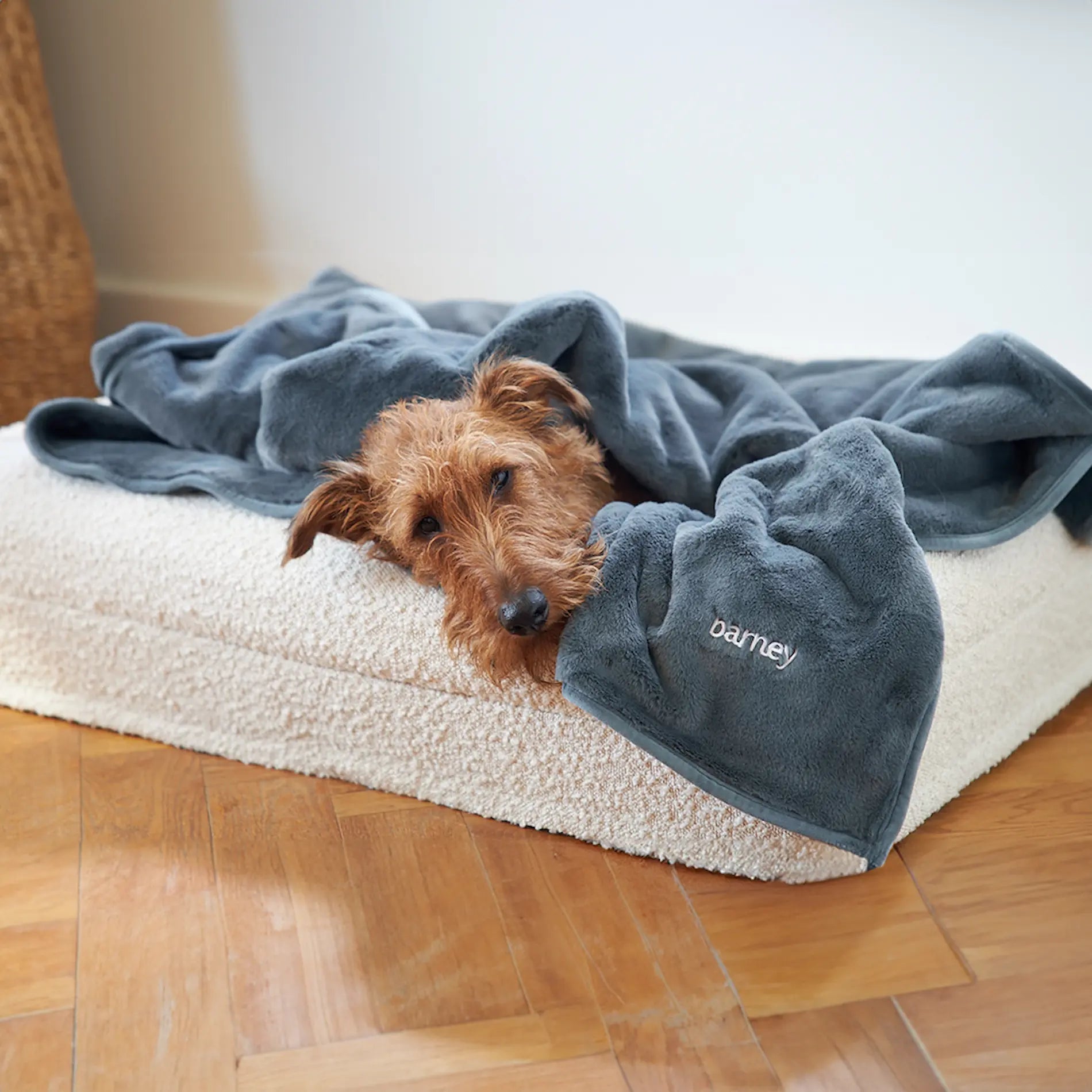 Blankets & Accessories