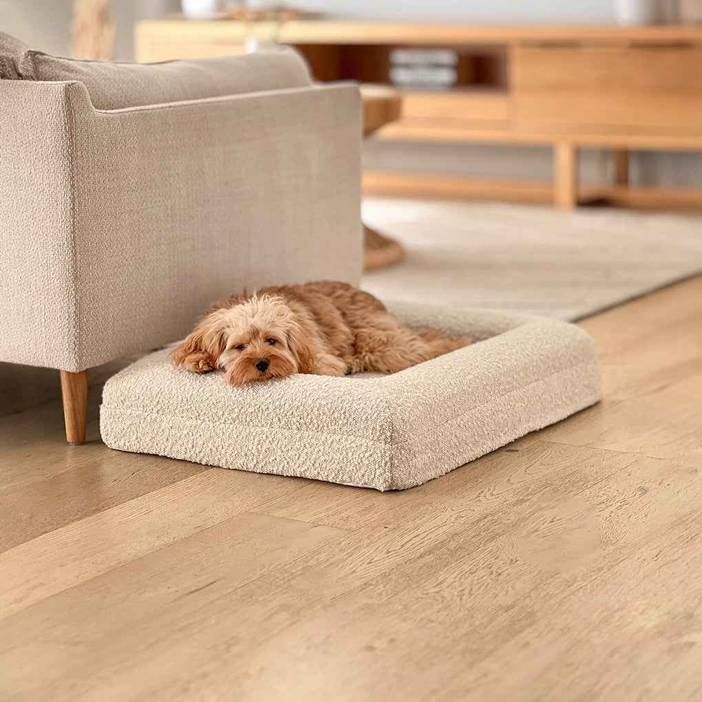 dogbeds