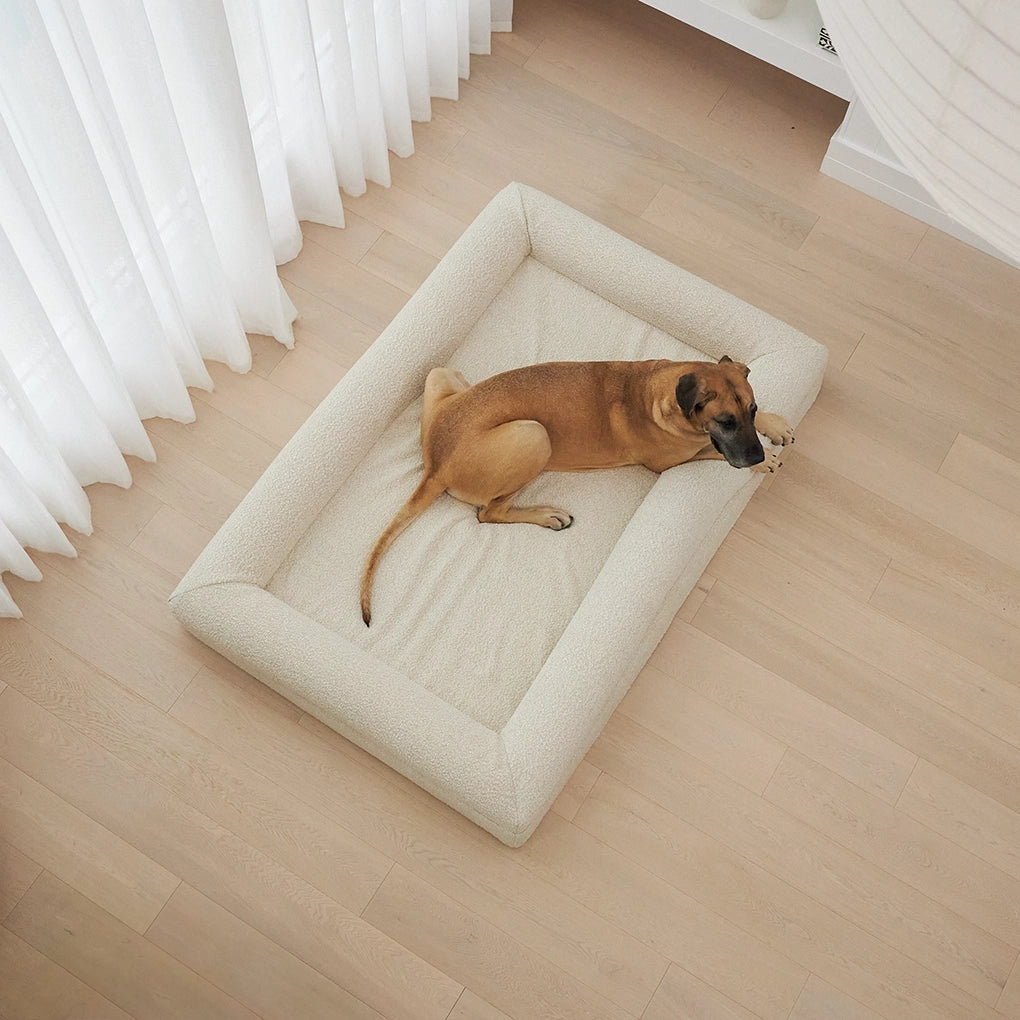 dogbeds