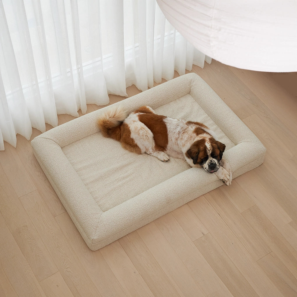 dogbeds