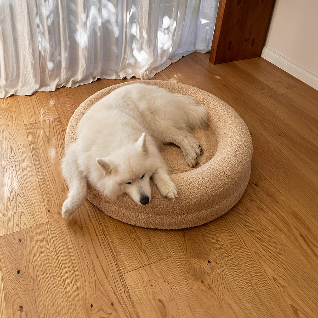 Large BarneyCurl