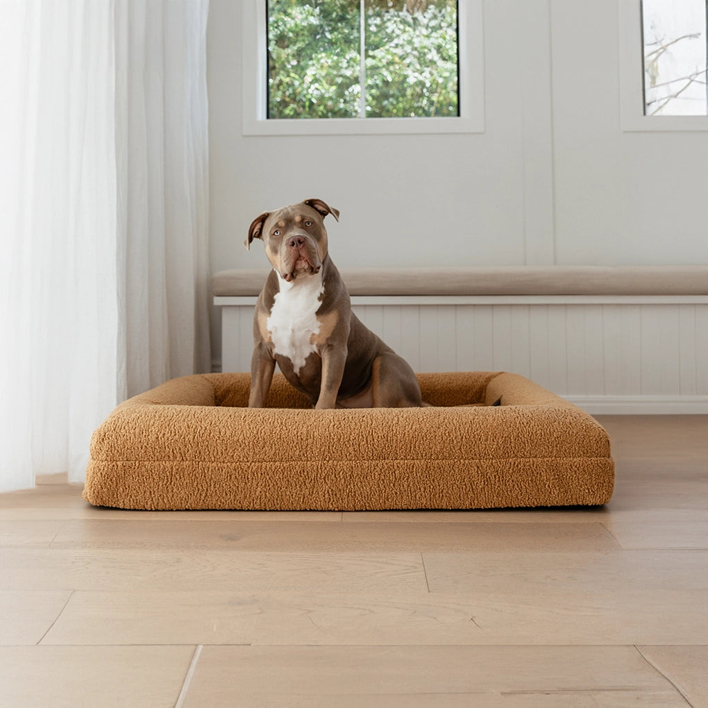 dogbeds