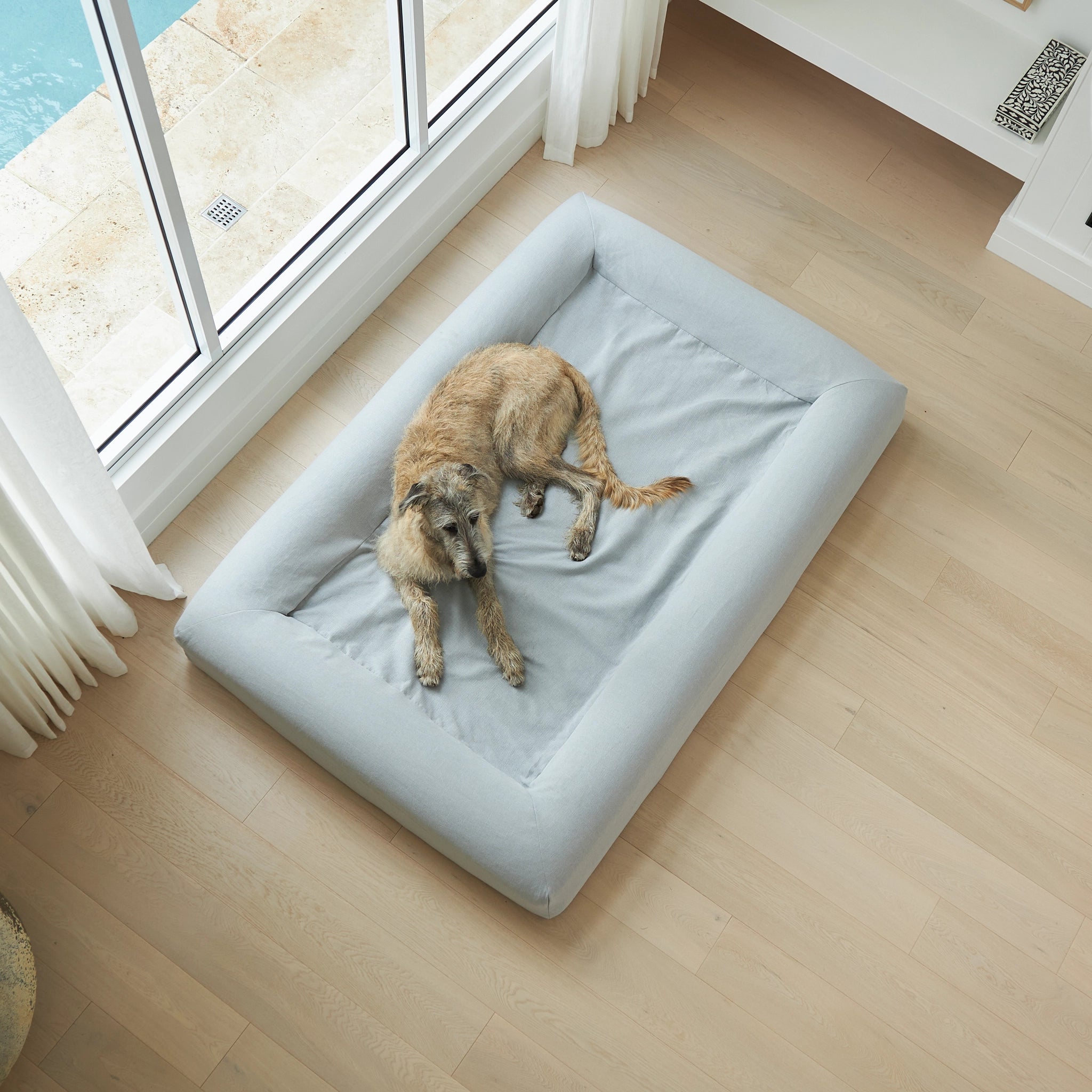 dogbeds