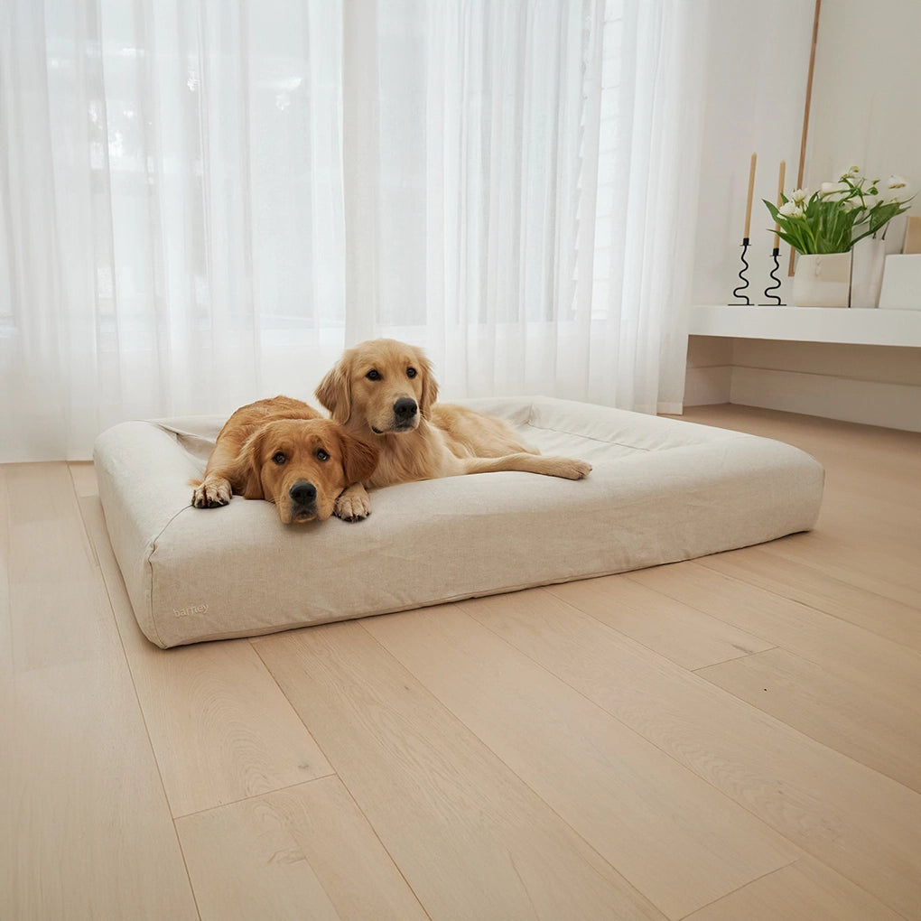 dogbeds