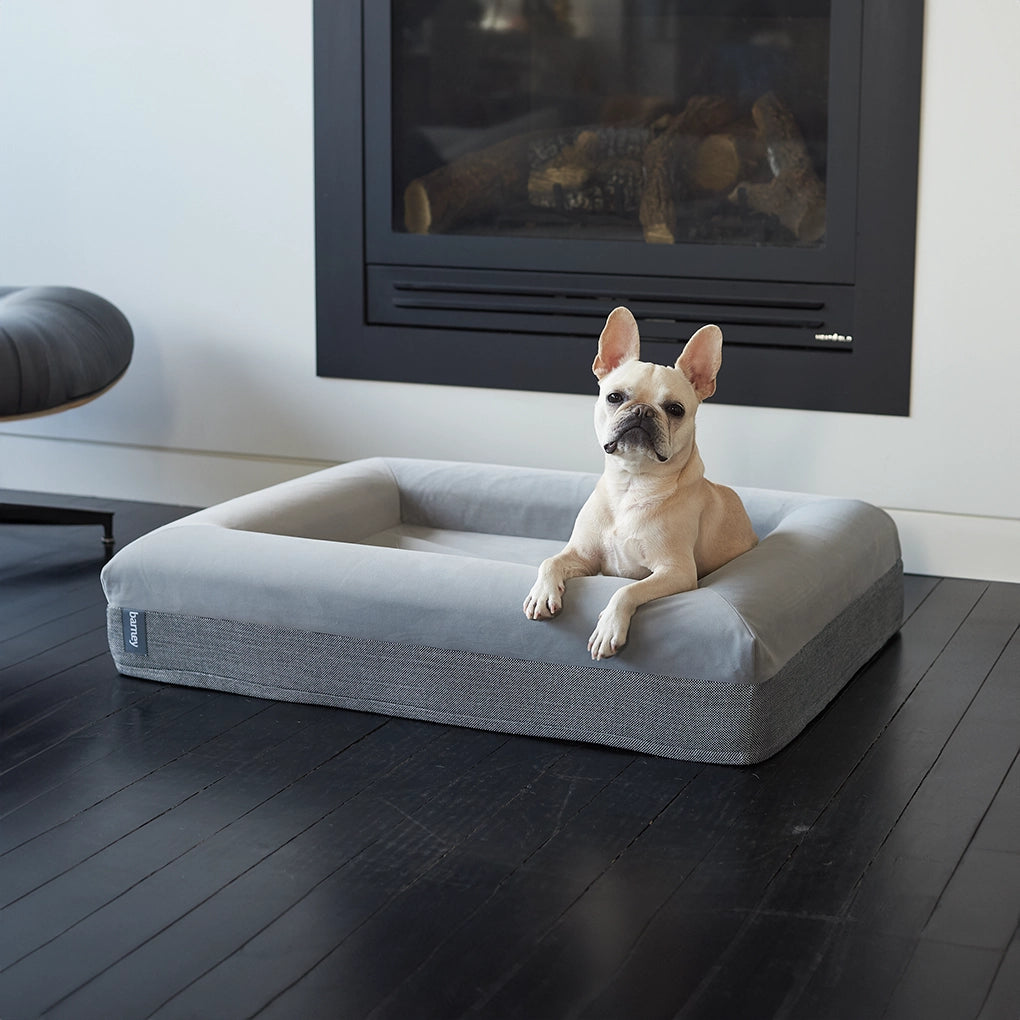 dogbeds