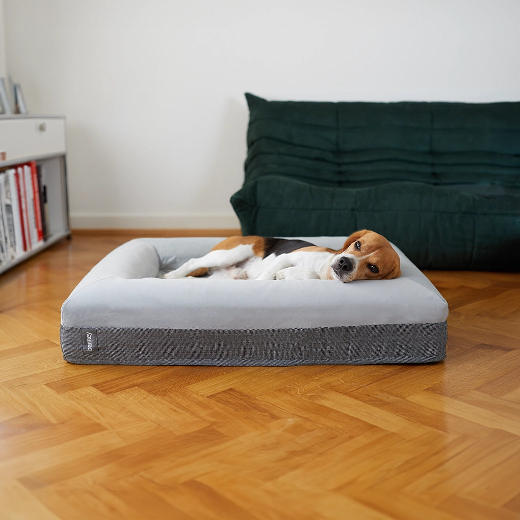 dogbeds