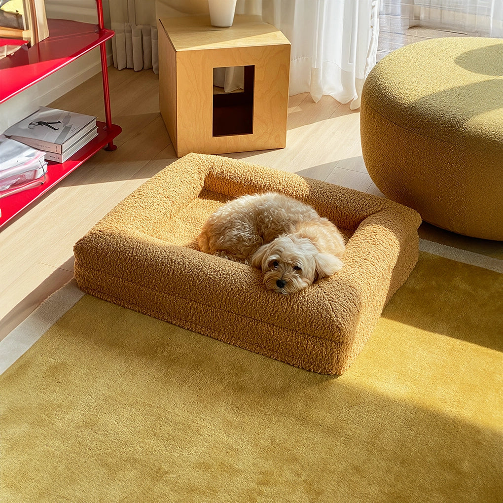 dogbeds