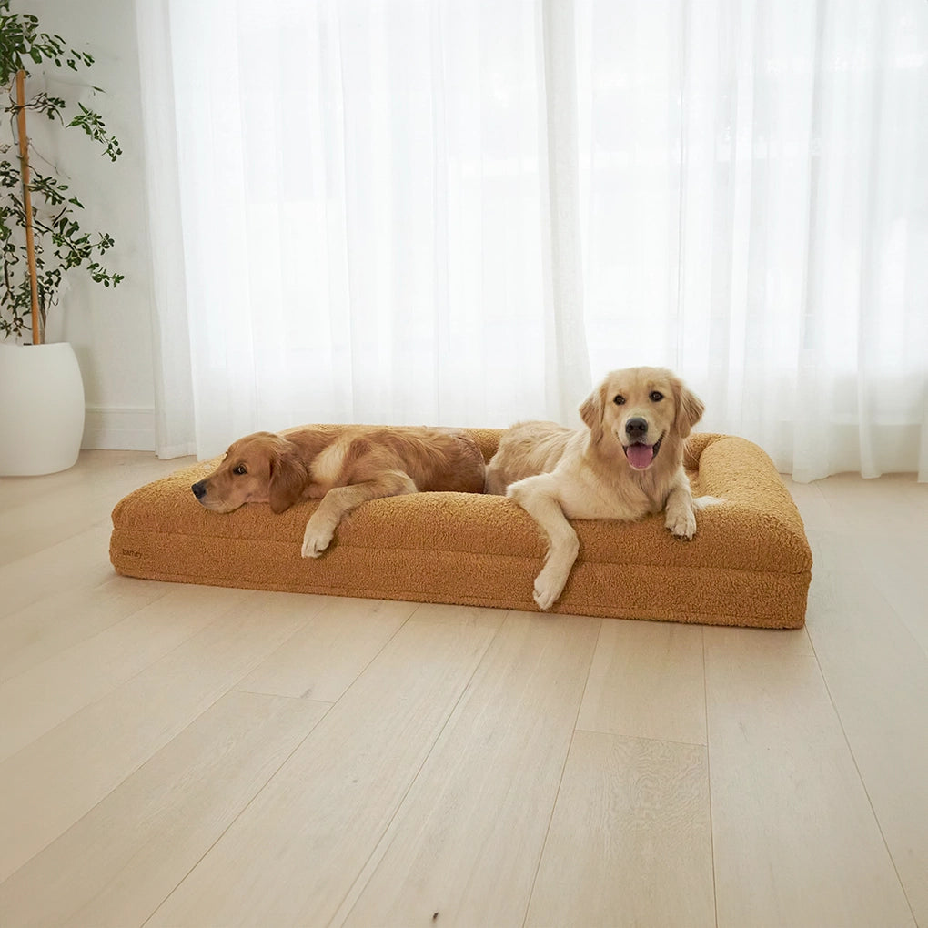 dogbeds