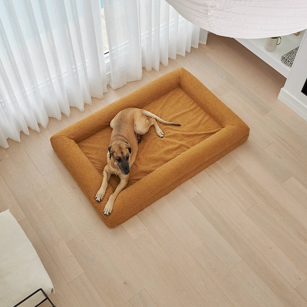 dogbeds