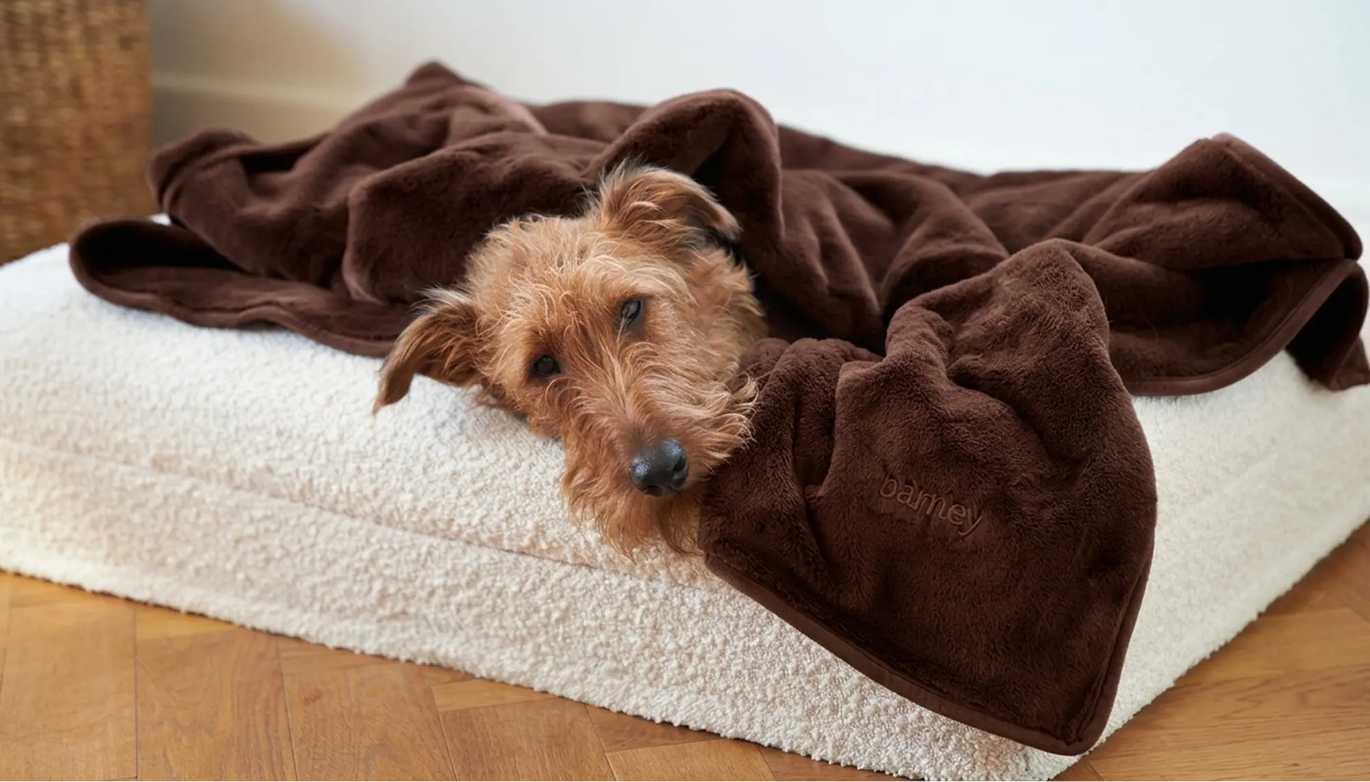 Collections – Barney Bed
