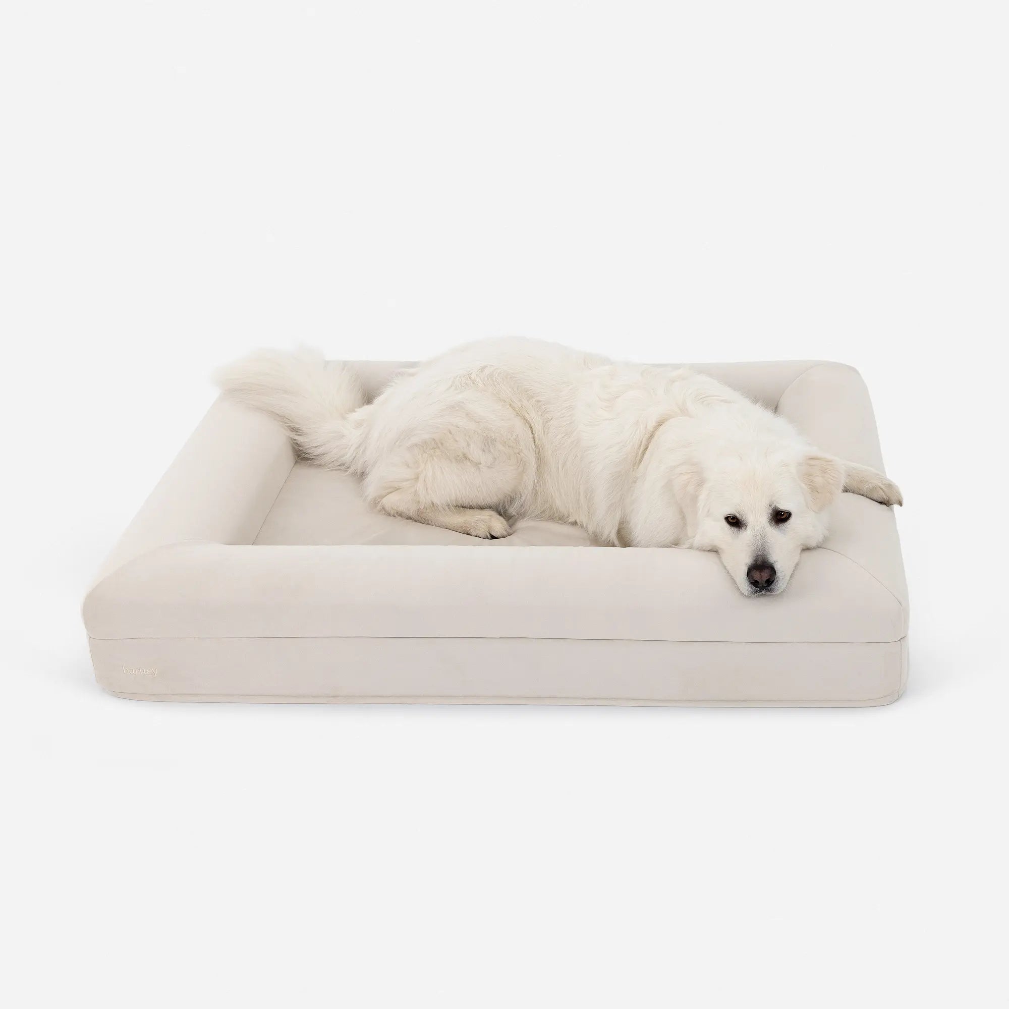 Large Plus Barney Bed in Bone