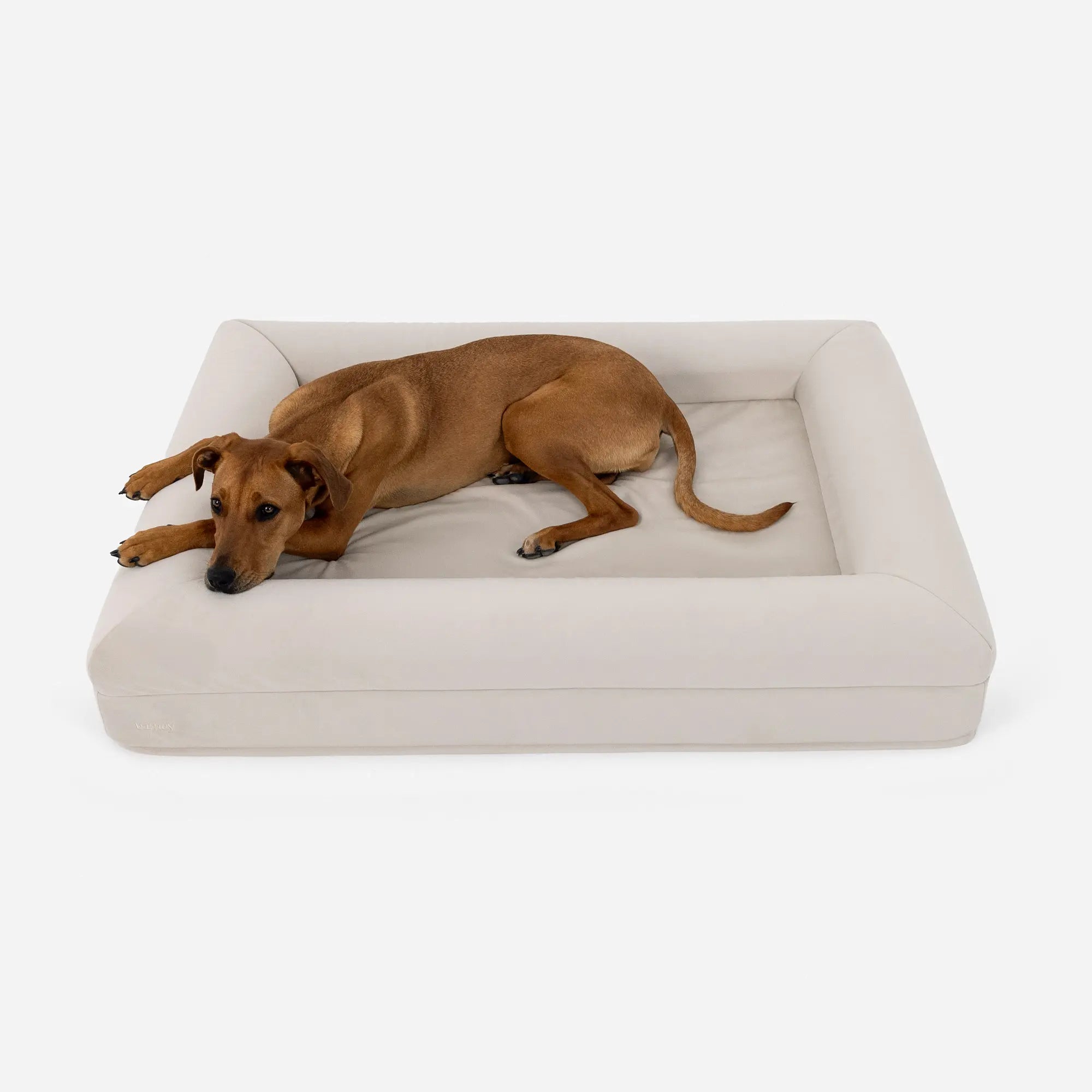 Large Plus Barney Bed in Bone