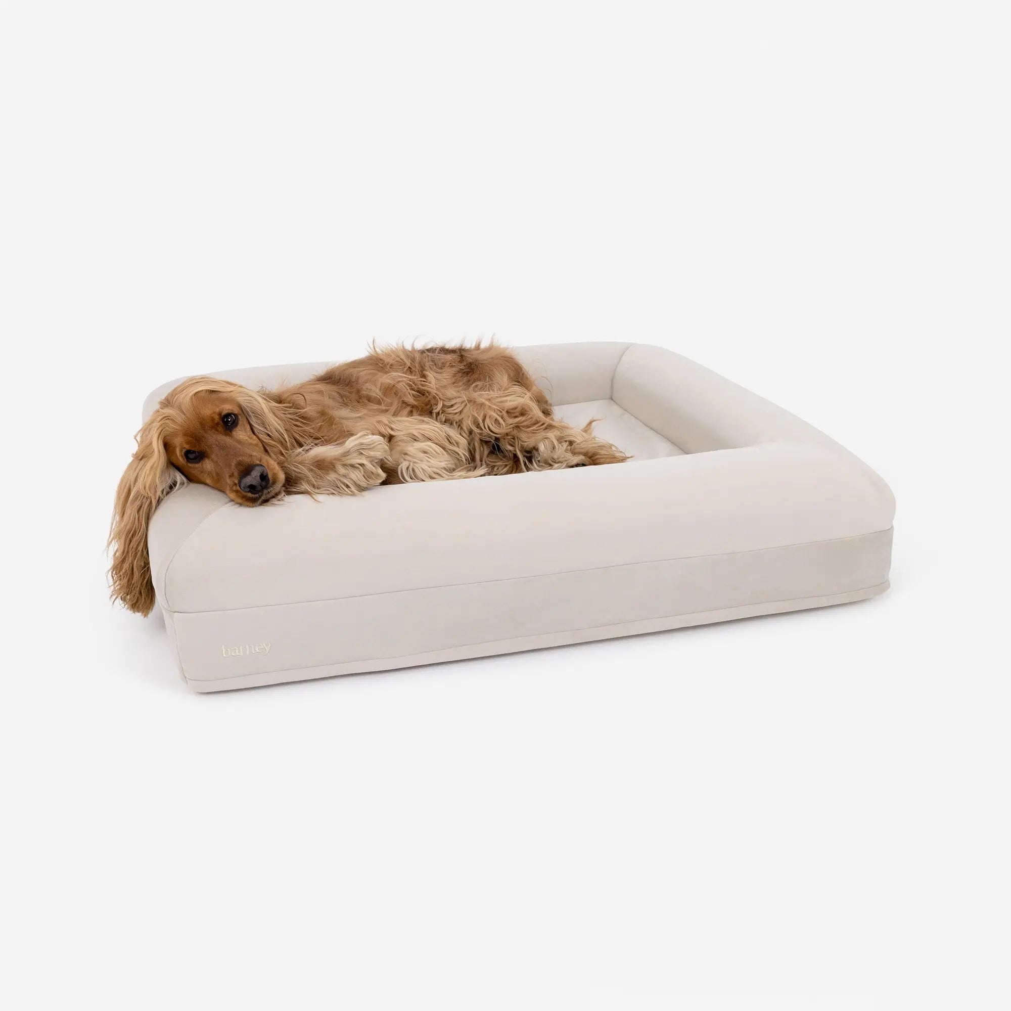 Medium Barney Bed in Bone
