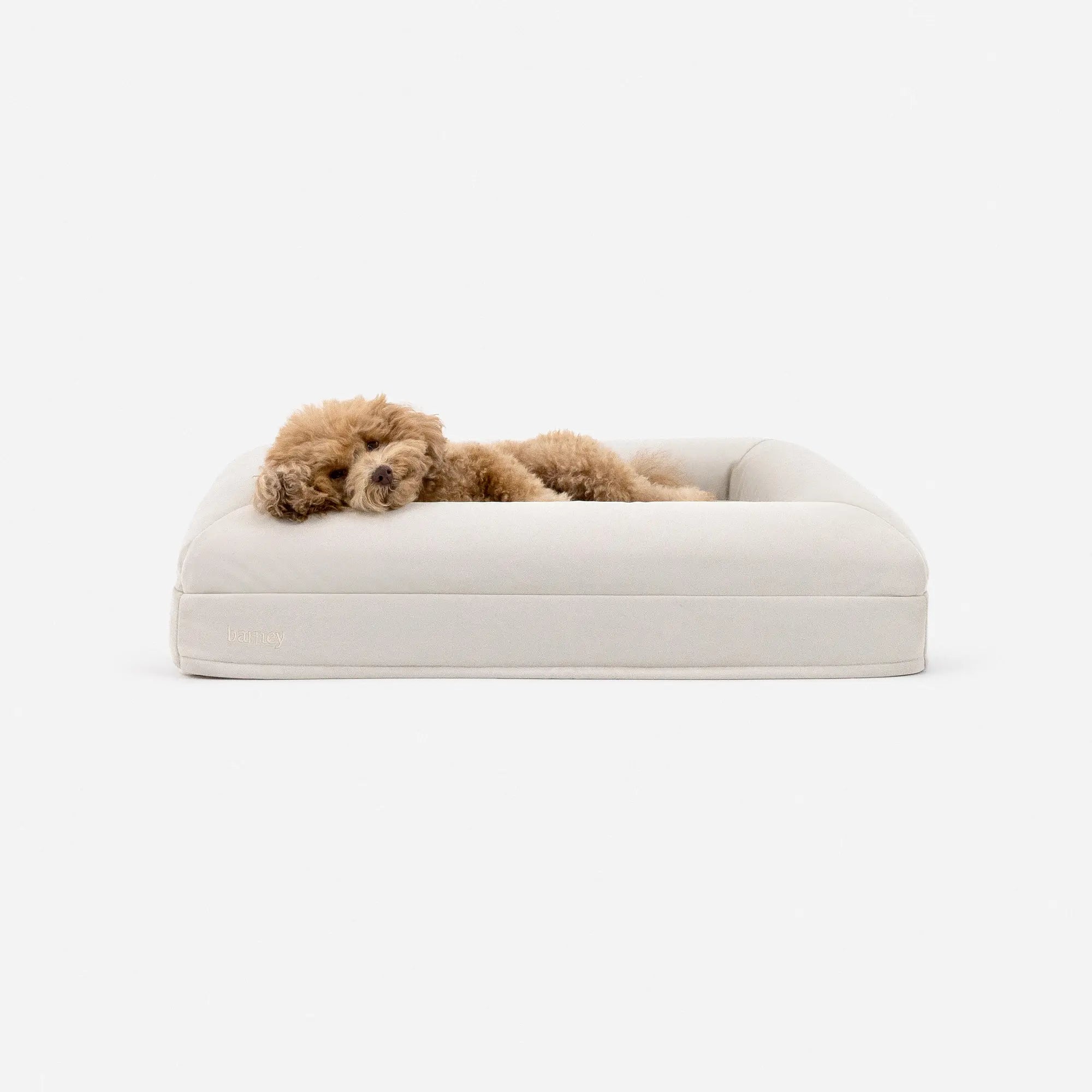 Small Barney Bed in Bone