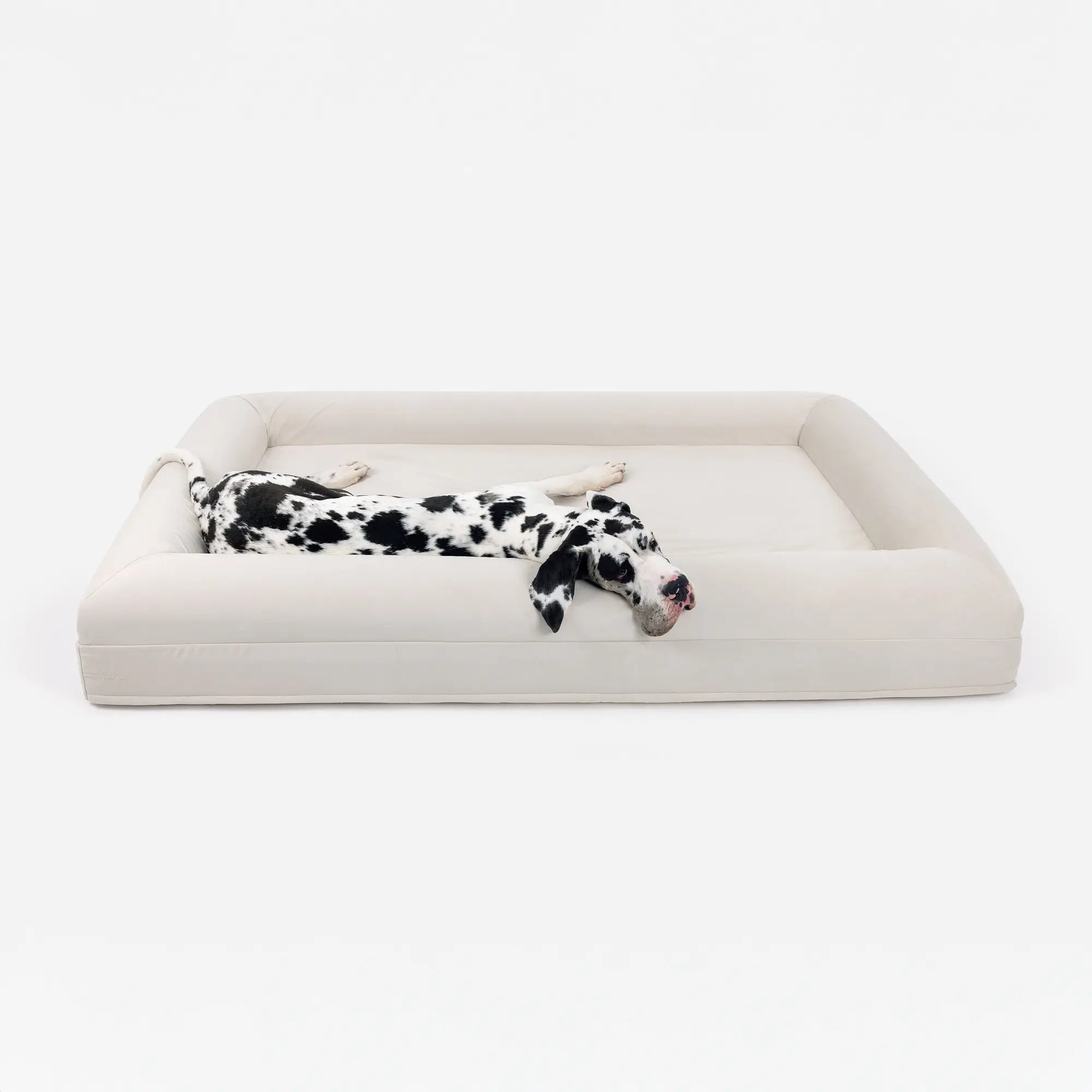 XXL Barney Bed in Bone