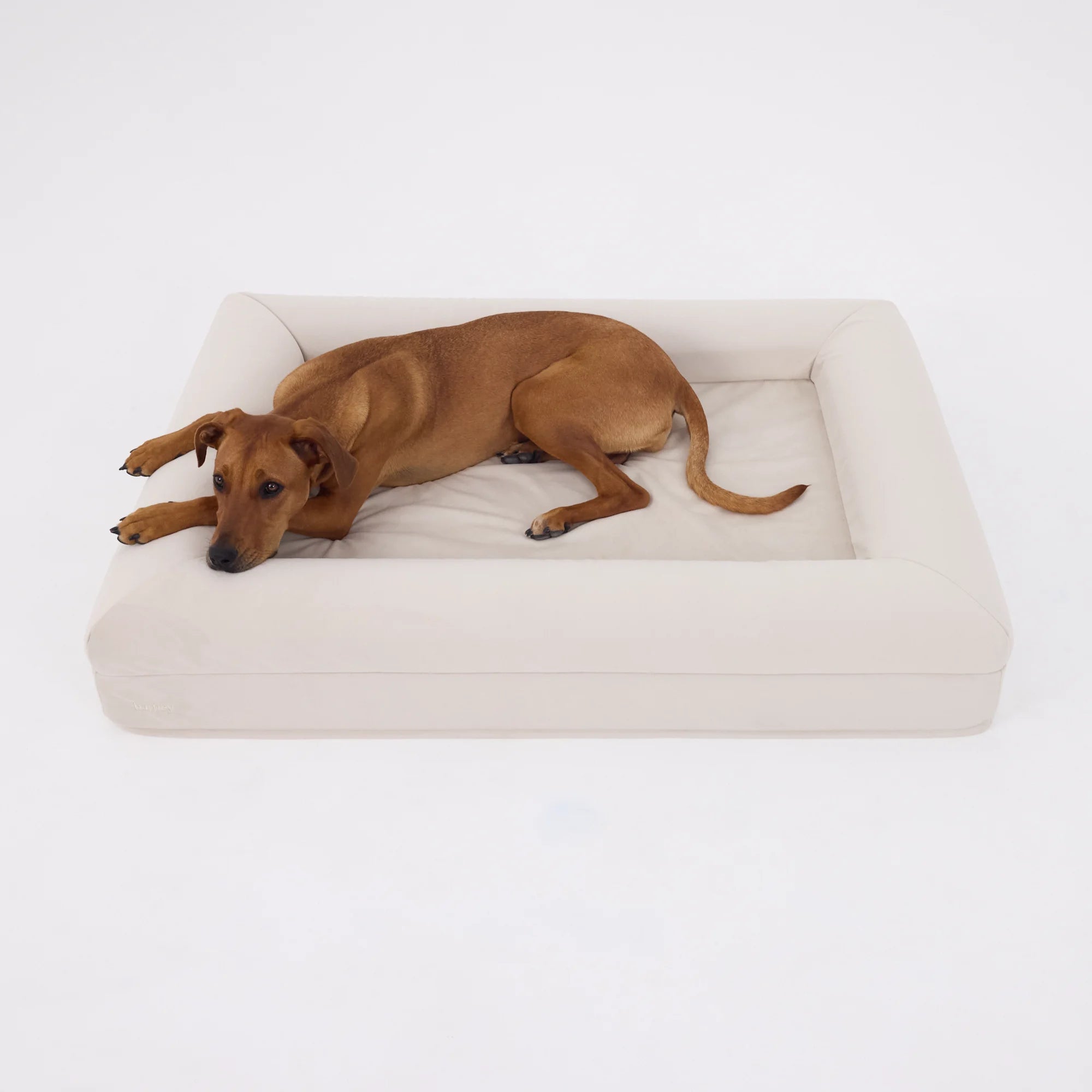 dogbeds