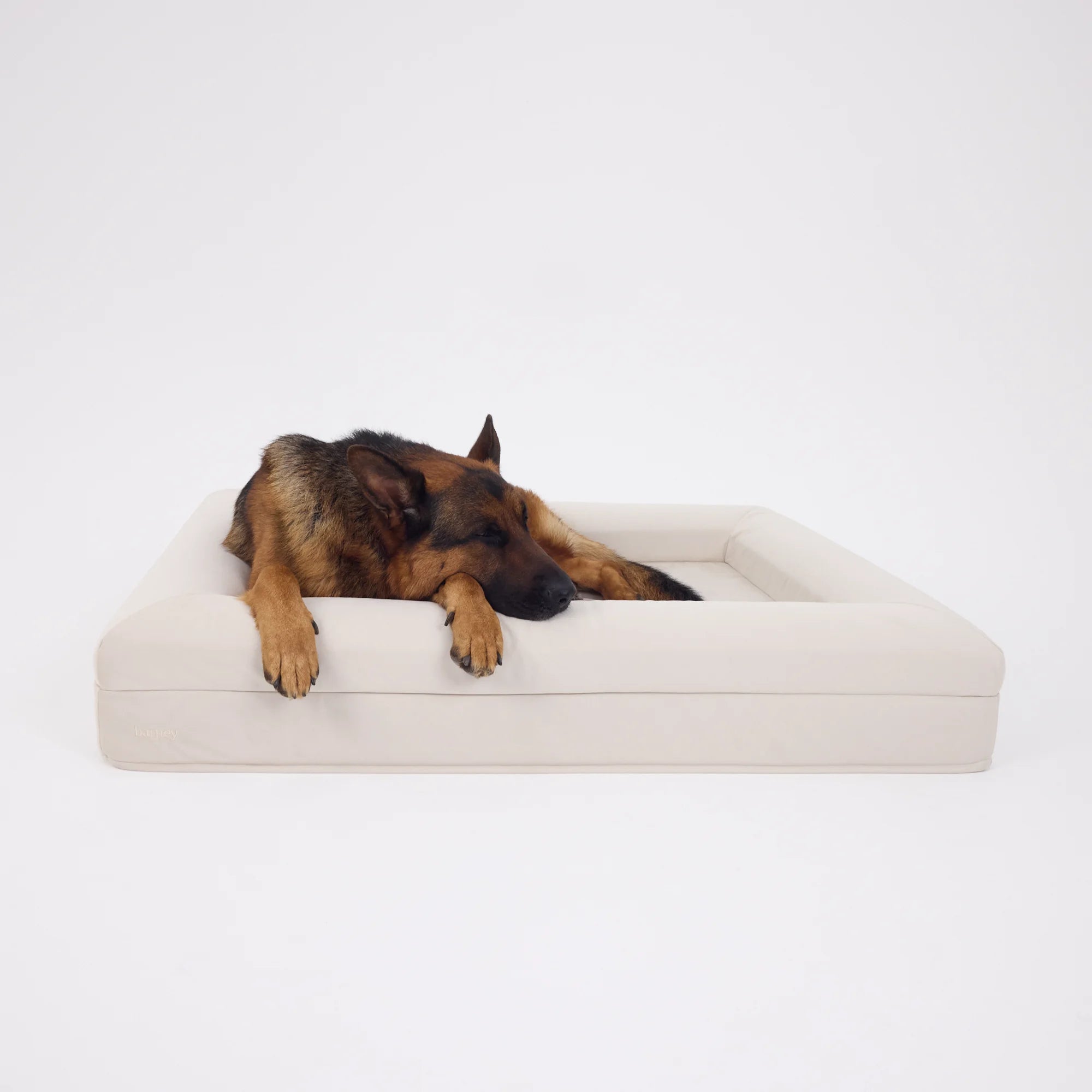 dogbeds