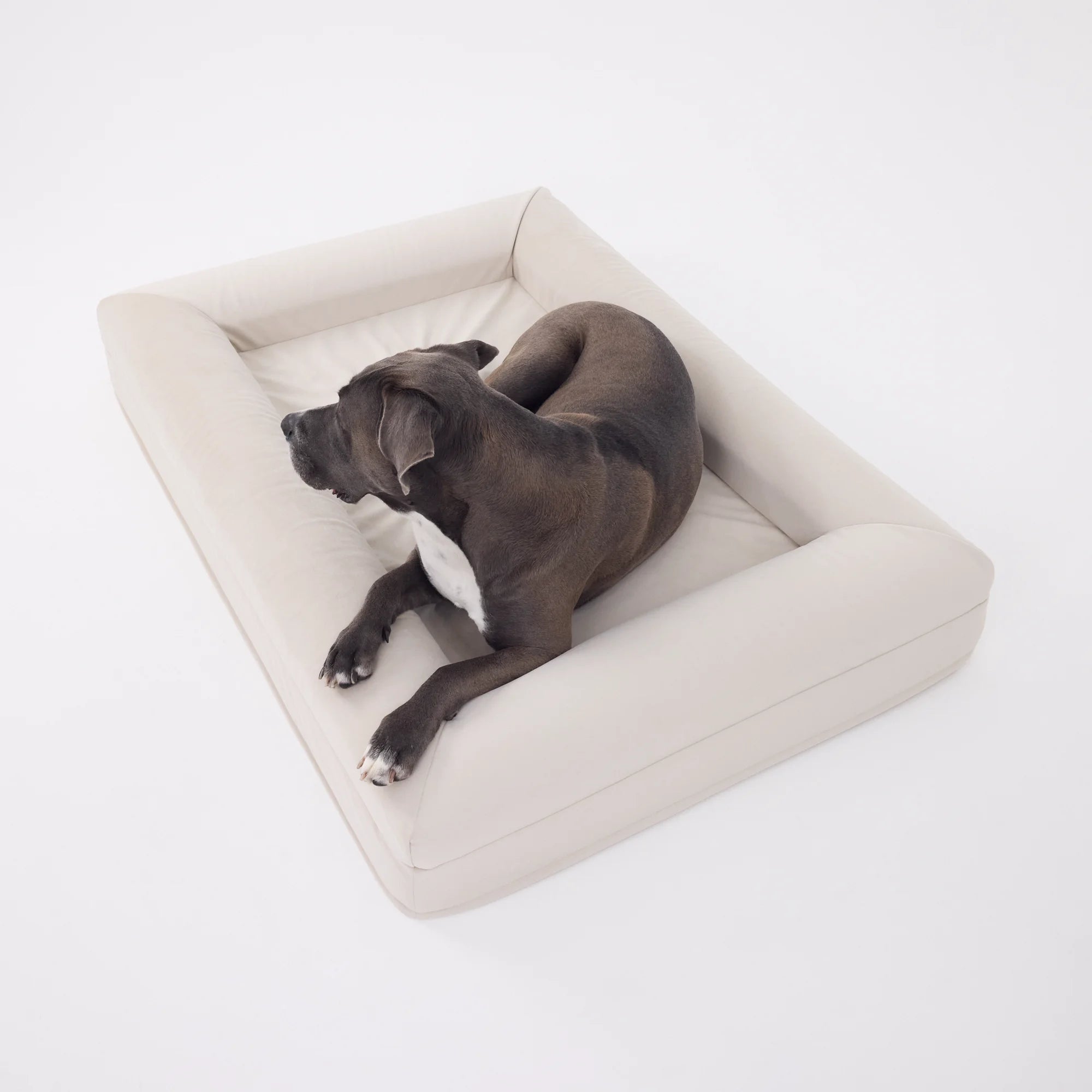 dogbeds