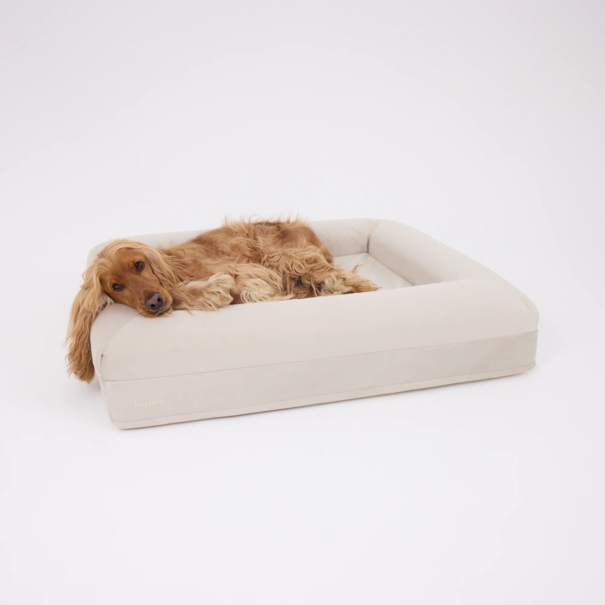 dogbeds