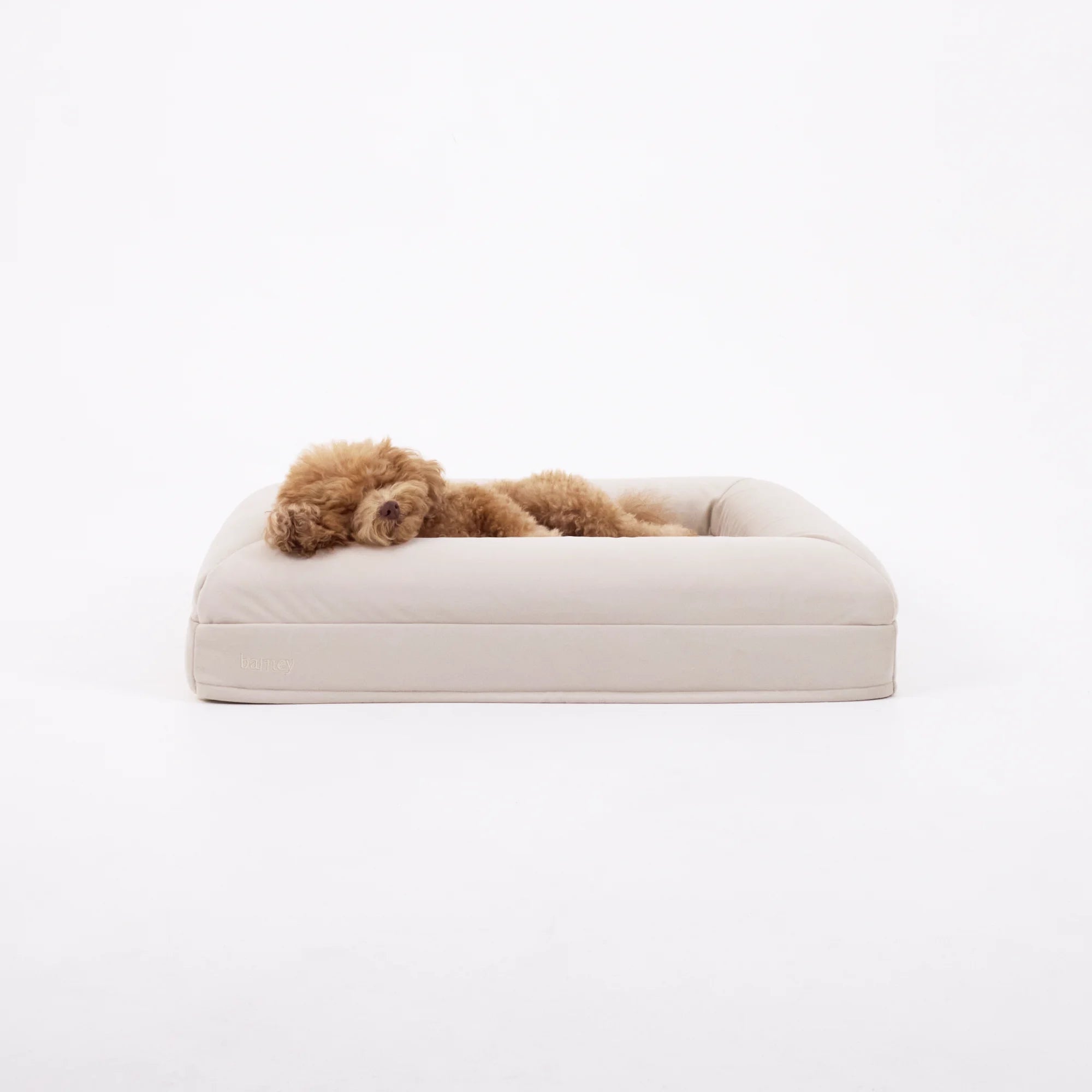 dogbeds