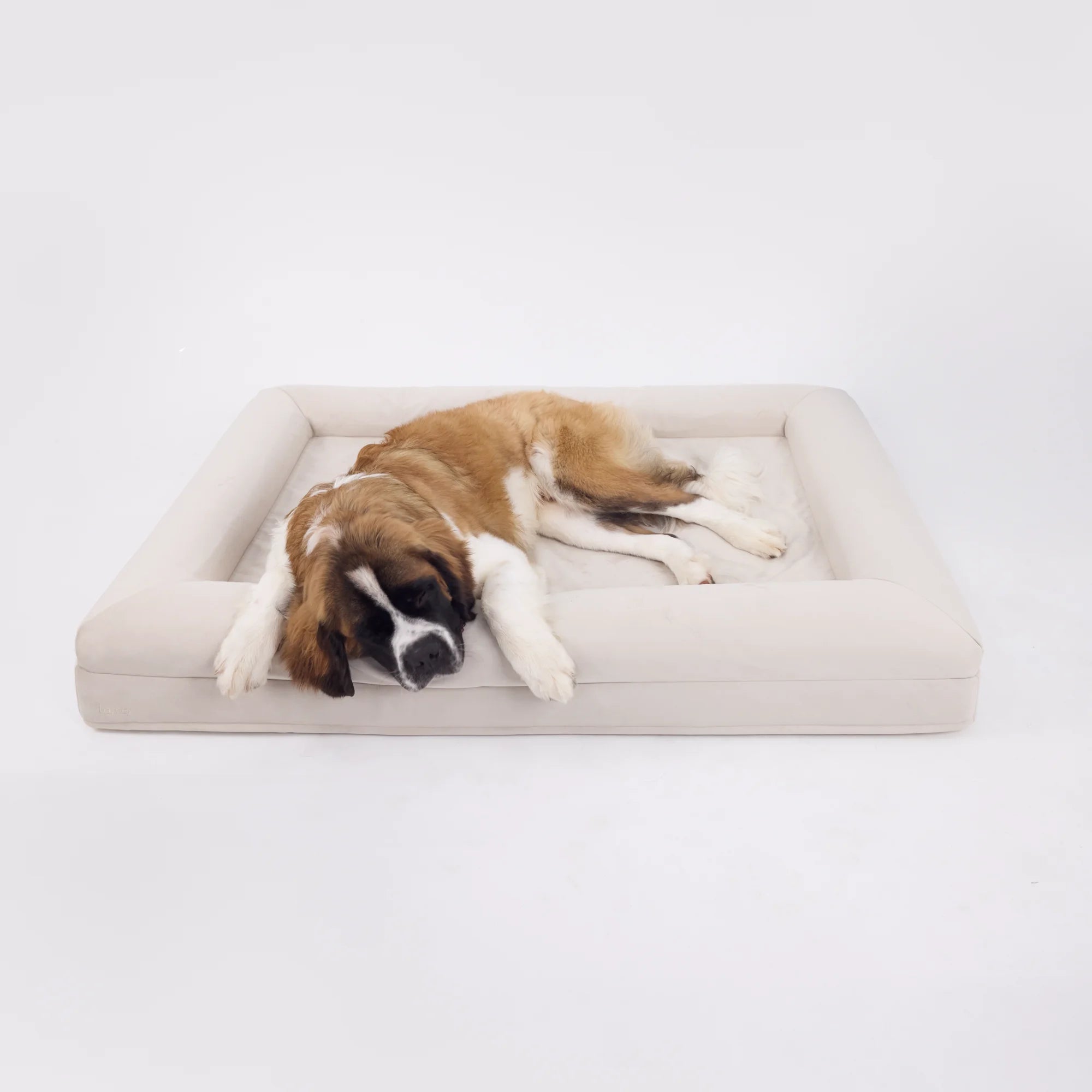 dogbeds