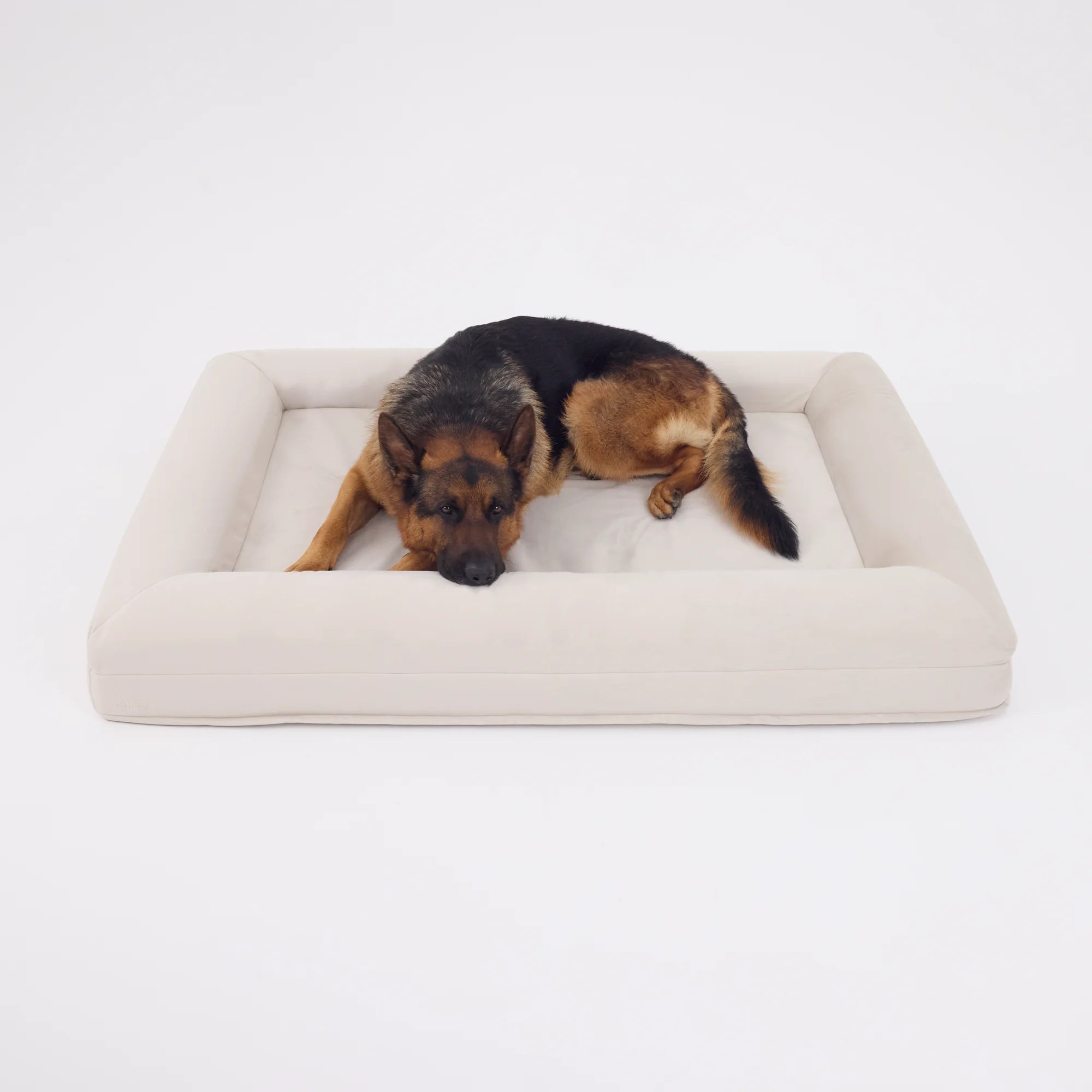 dogbeds