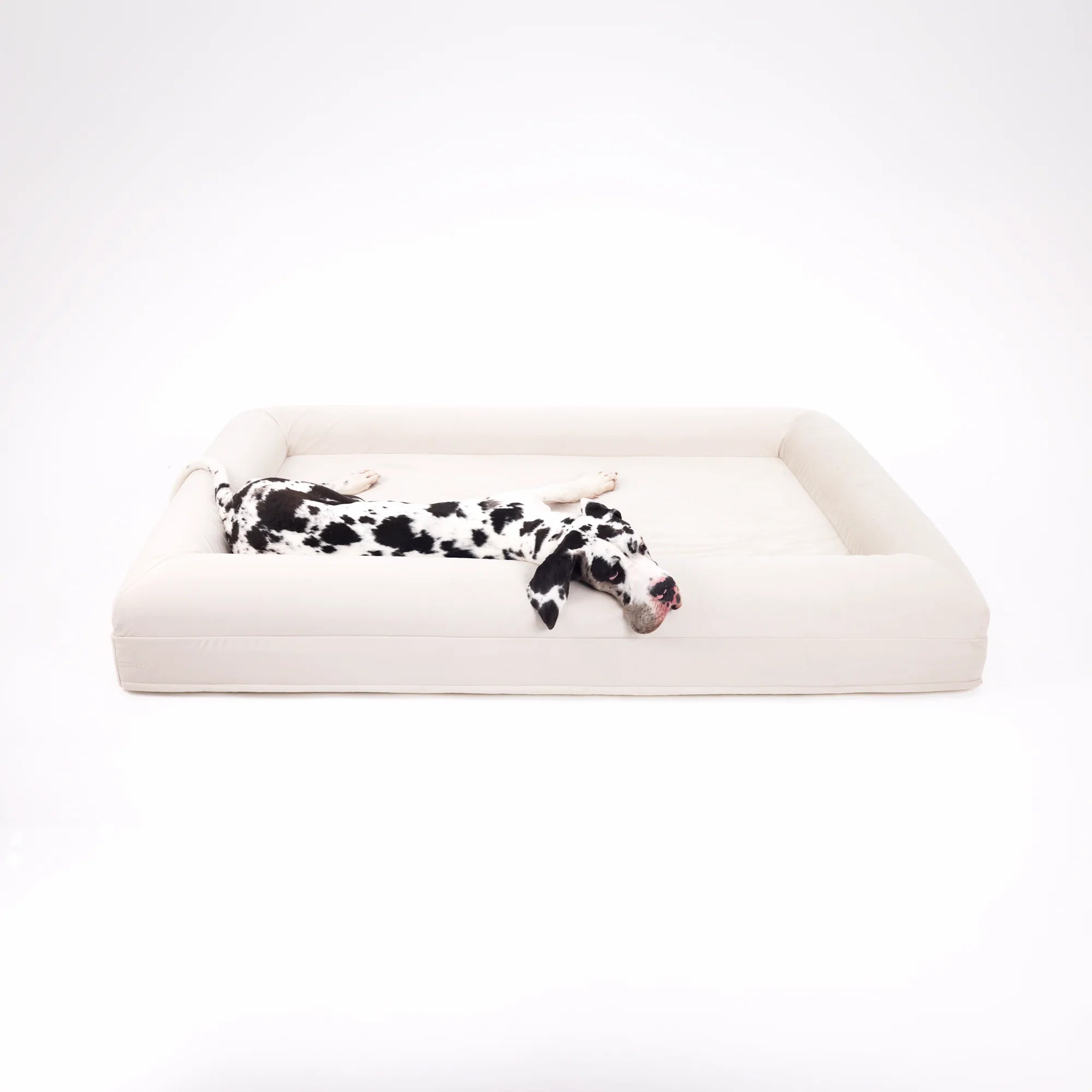 dogbeds