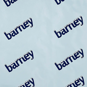 Barney Chill Pad
