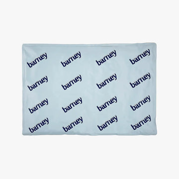 Barney Chill Pad