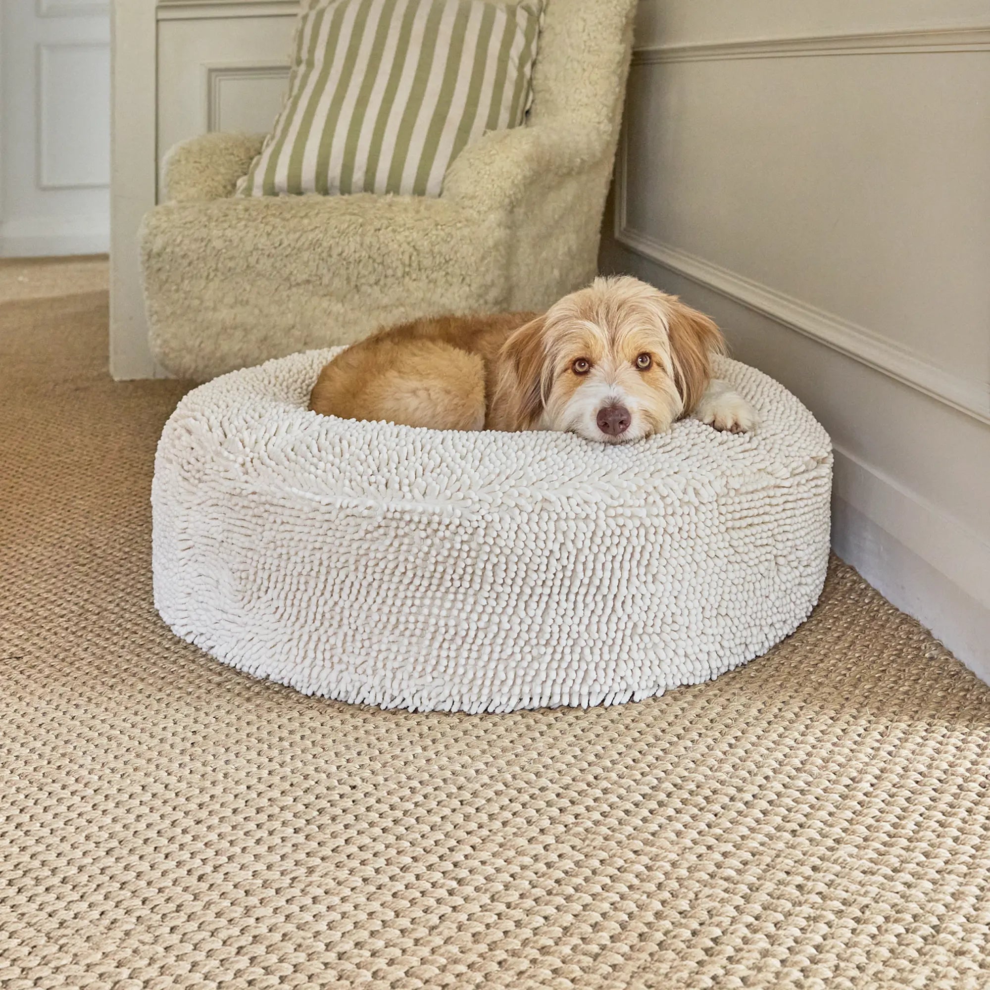 Medium BarneyCurl Bed with Barneycles Cover in Sugarloaf