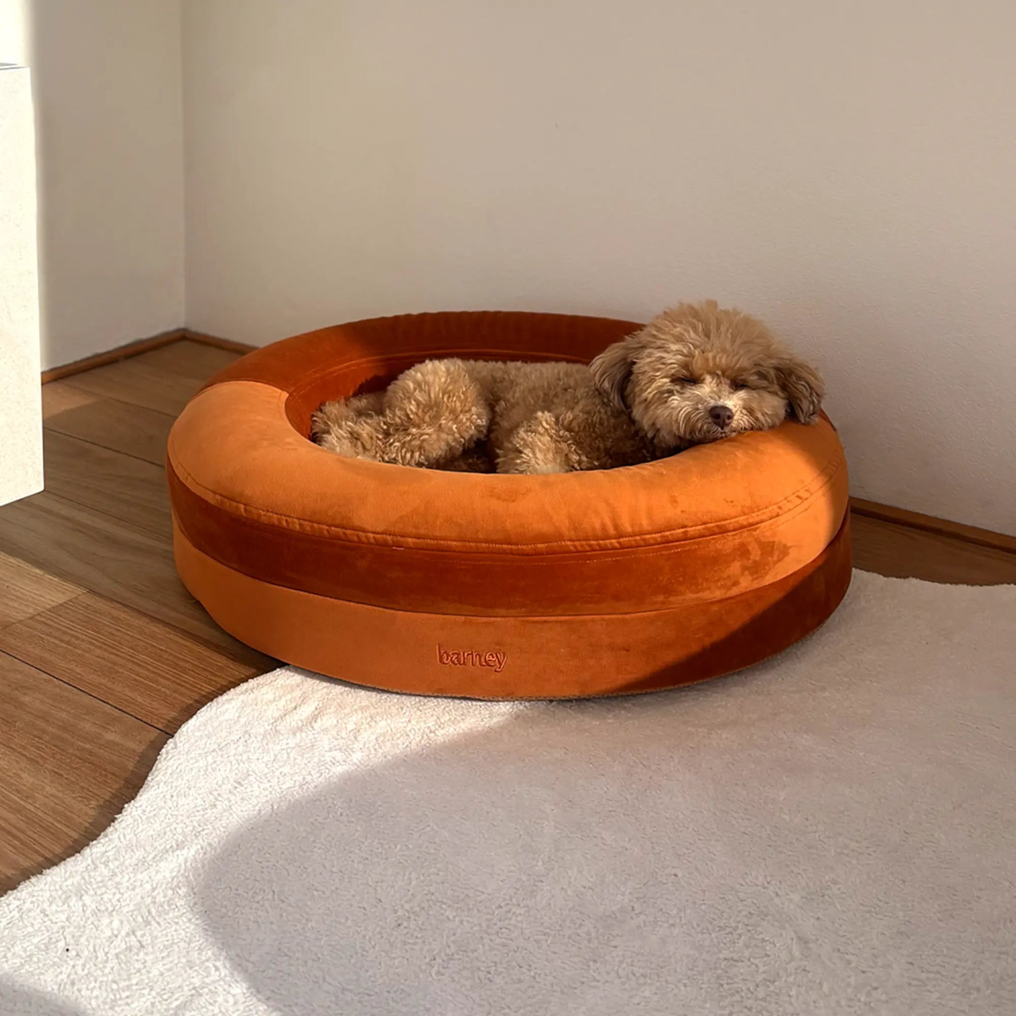 Small BarneyCurl Bed with Velvet Cover in Sunset