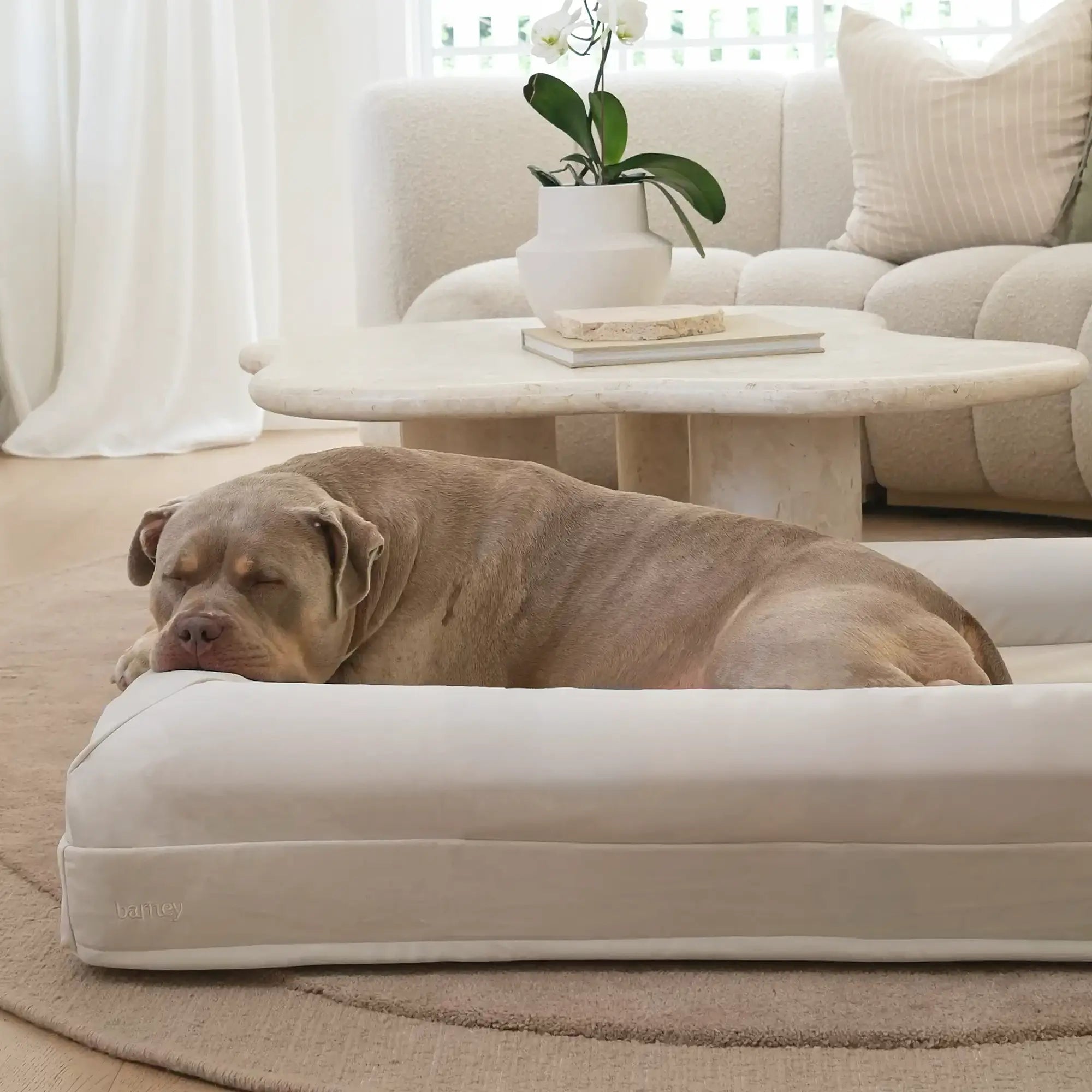 Signature Cover – Barney Bed