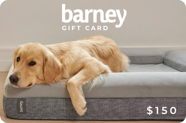 Barney Bed Gift Card