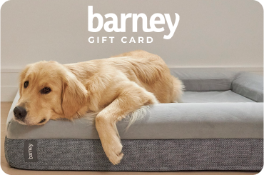 Barney Bed Gift Card