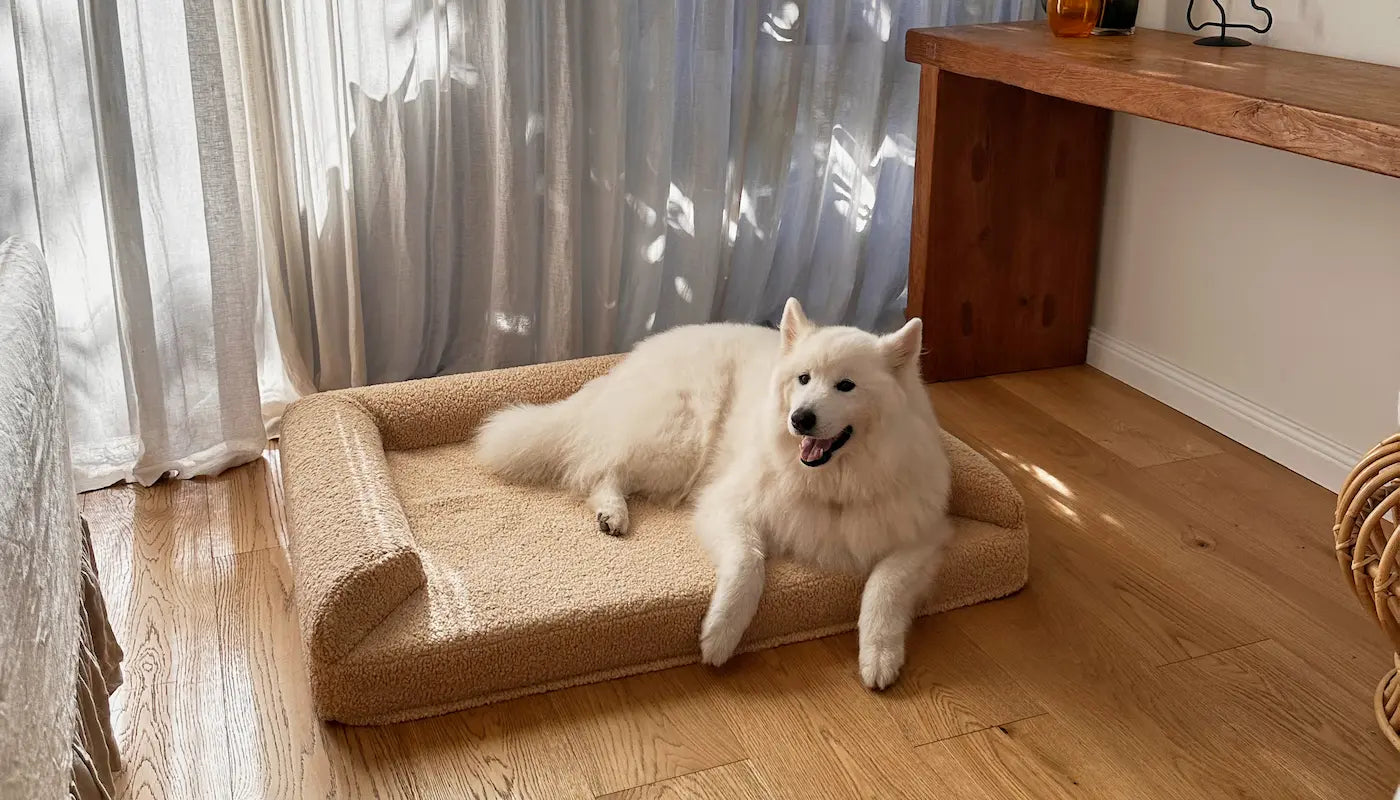 Dog Bed Cover