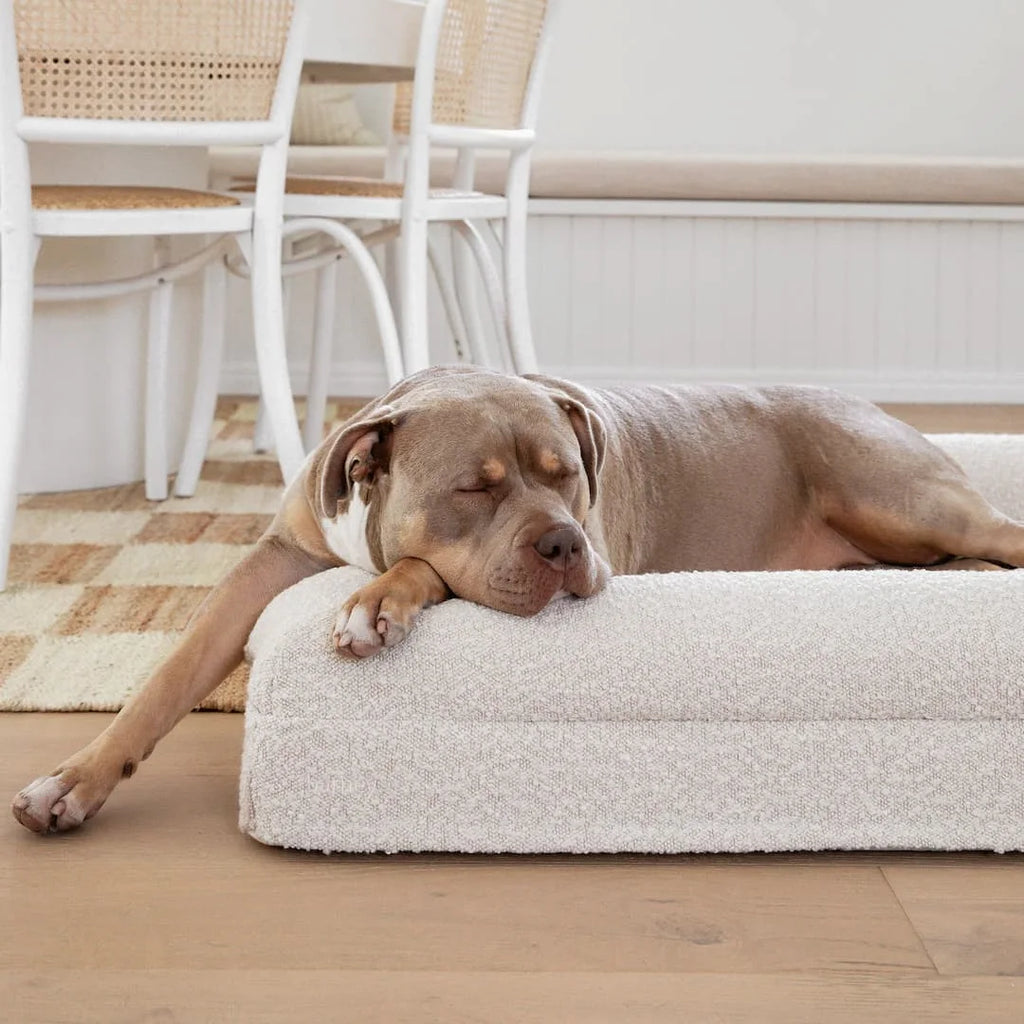 Dog bed top replacement cover large