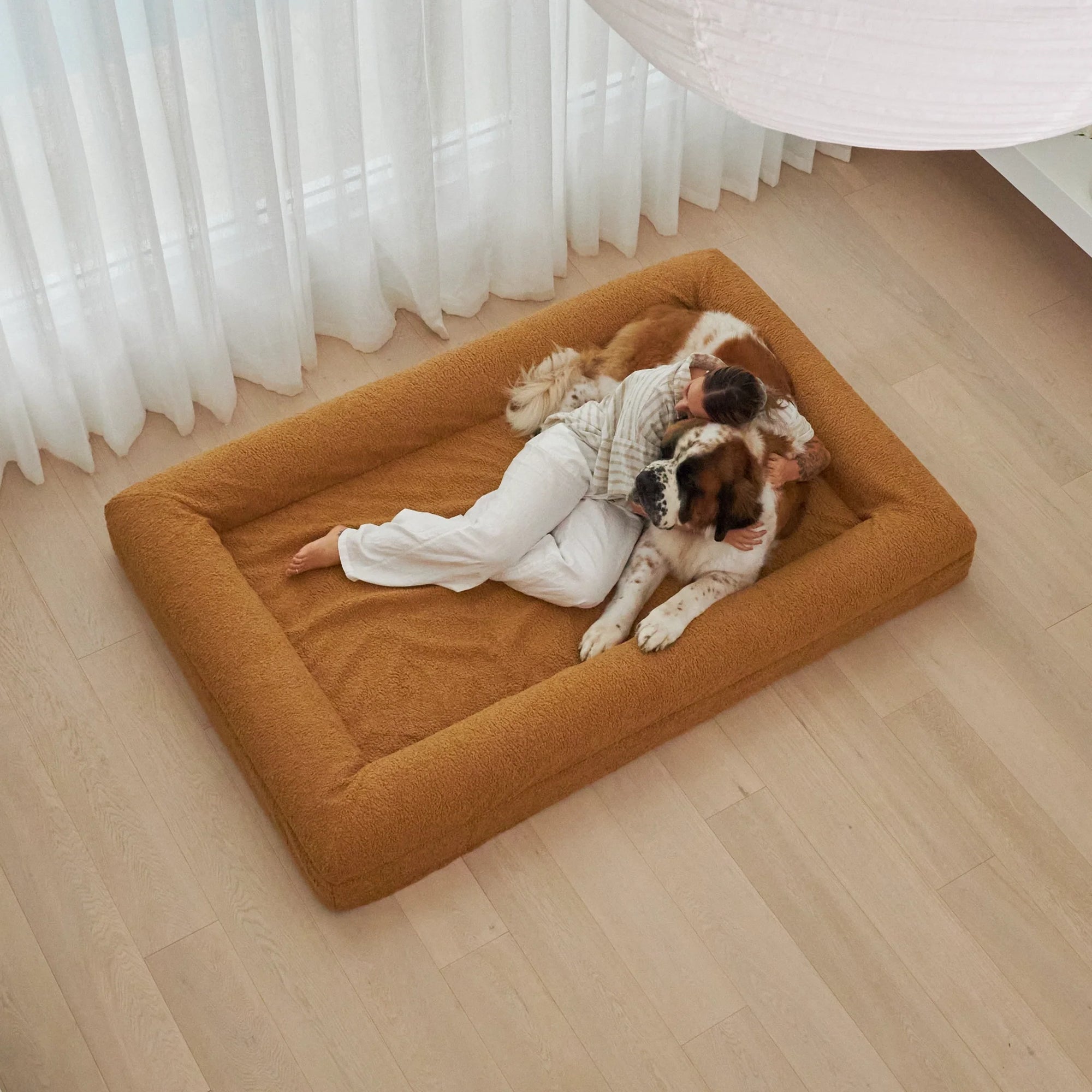 XXL Barney Bed with Teddy Cover in Golden