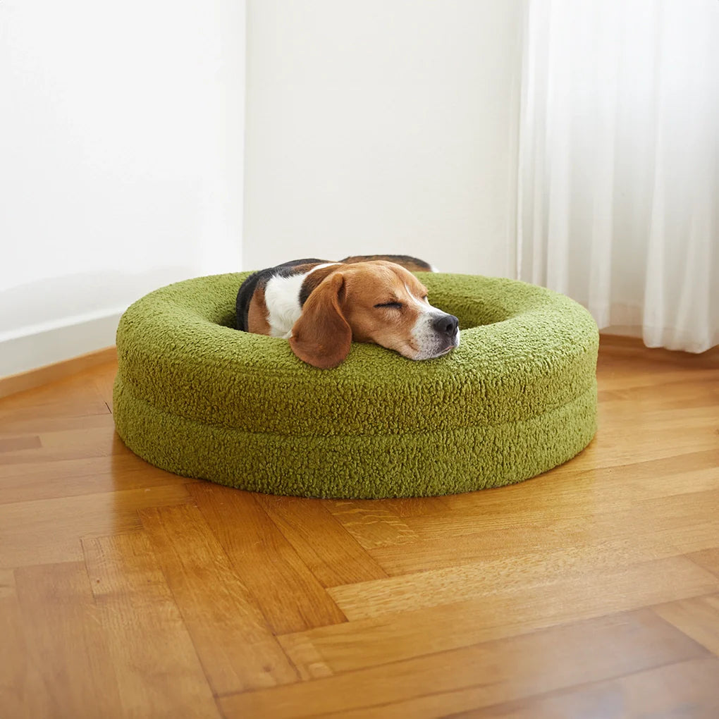 Medium BarneyCurl Bed with Teddy Cover in Matcha