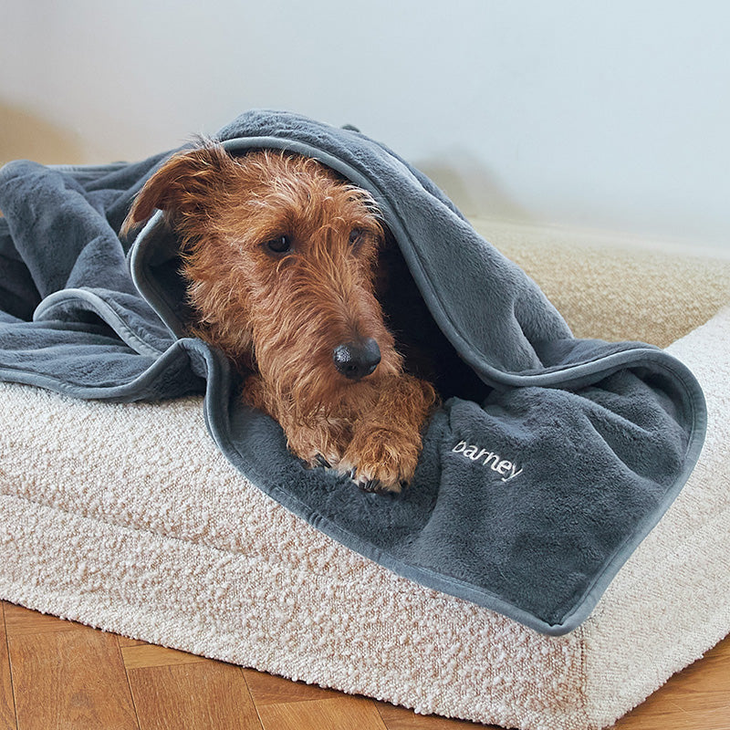 Blanket