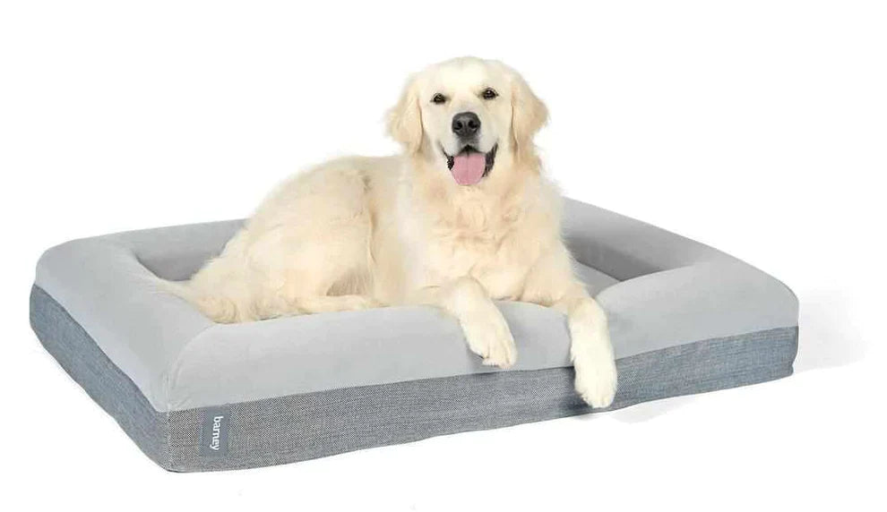 Barney Bed- Large